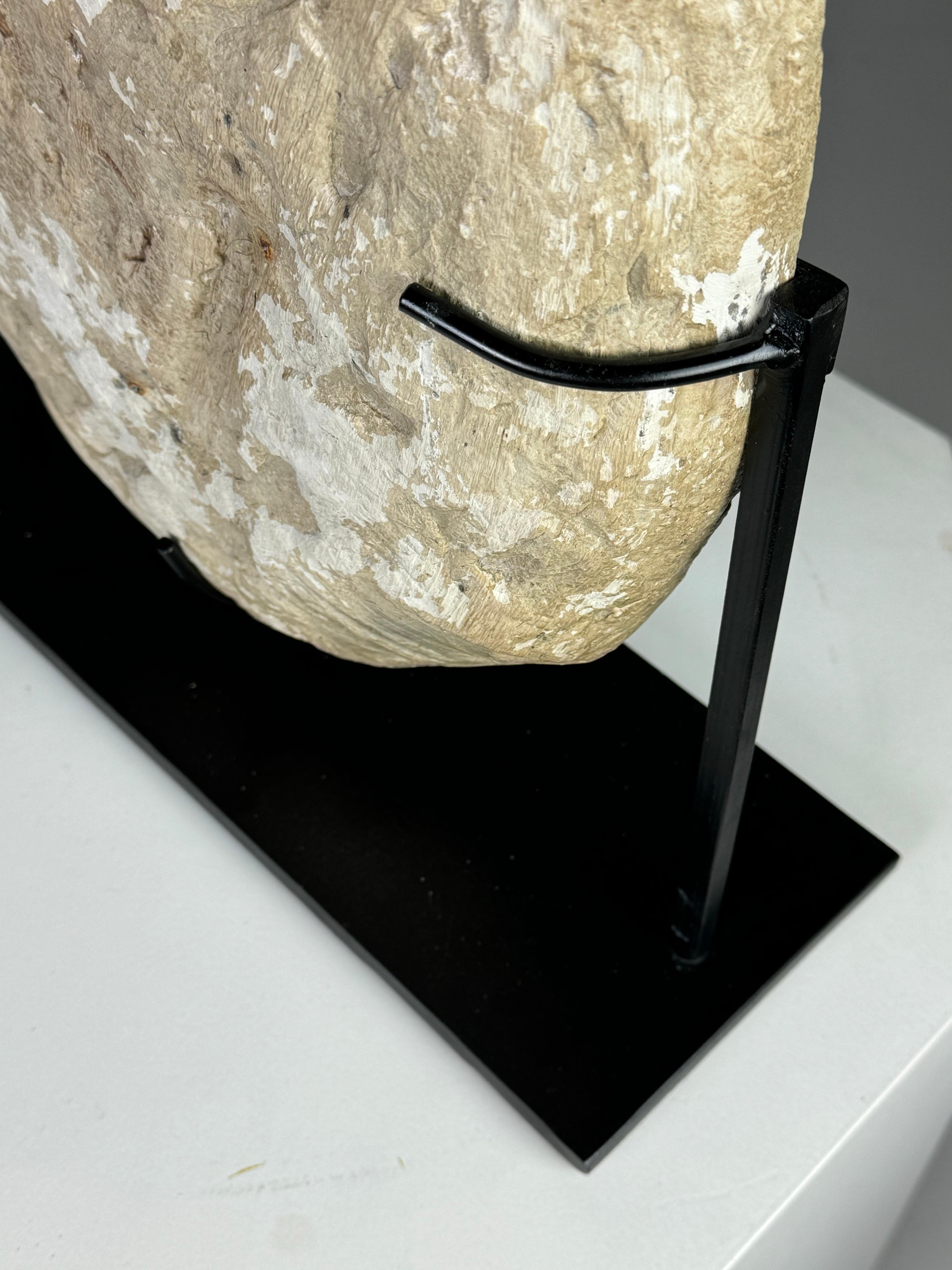 Natural Fiber Septarian Nodule on custom stand