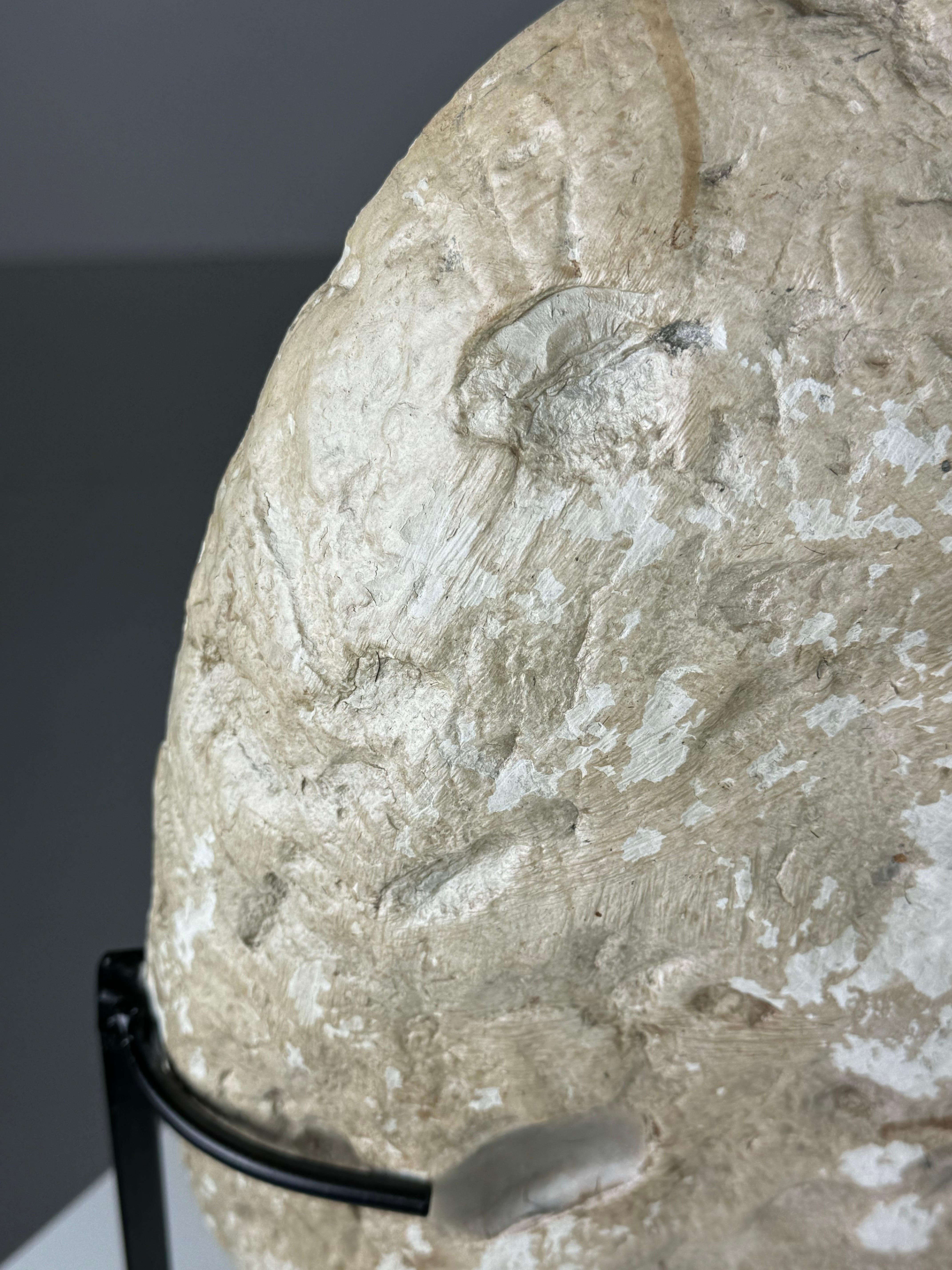 Septarian Nodule on custom stand 3