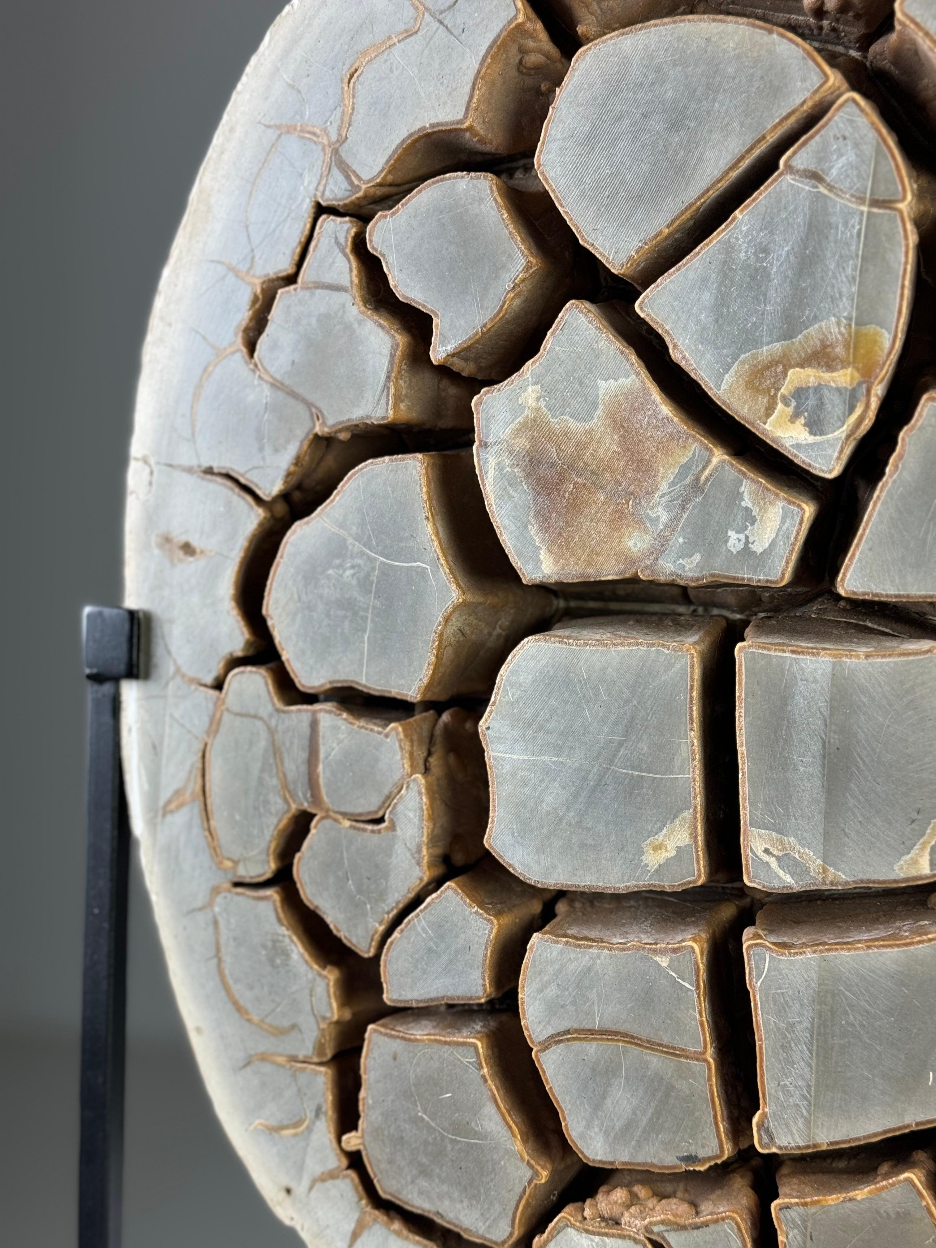 Septarian Nodule on custom stand 4