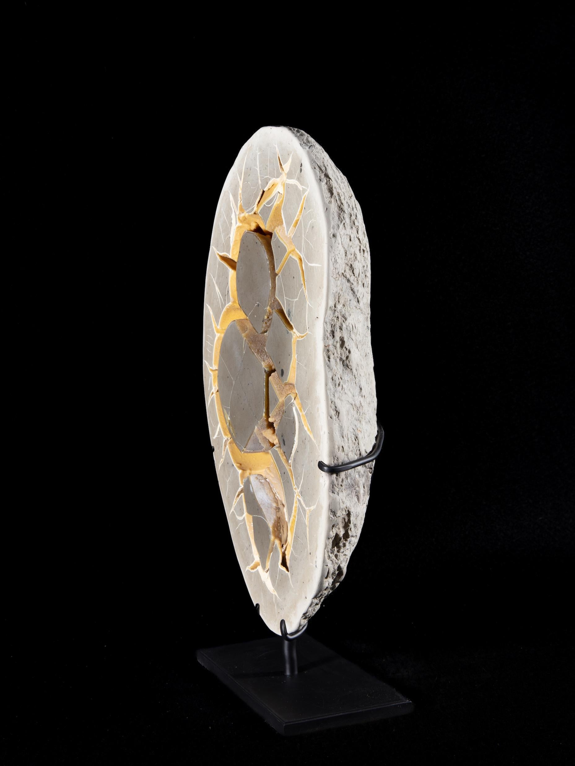 Cut and polished to reveal internal calcite and aragonite structures, supported on fitted custom stand.

Septarian nodules or clay spheres occur because calcite in liquid form has penetrated the cracks and crevices of the clay. The expansion during