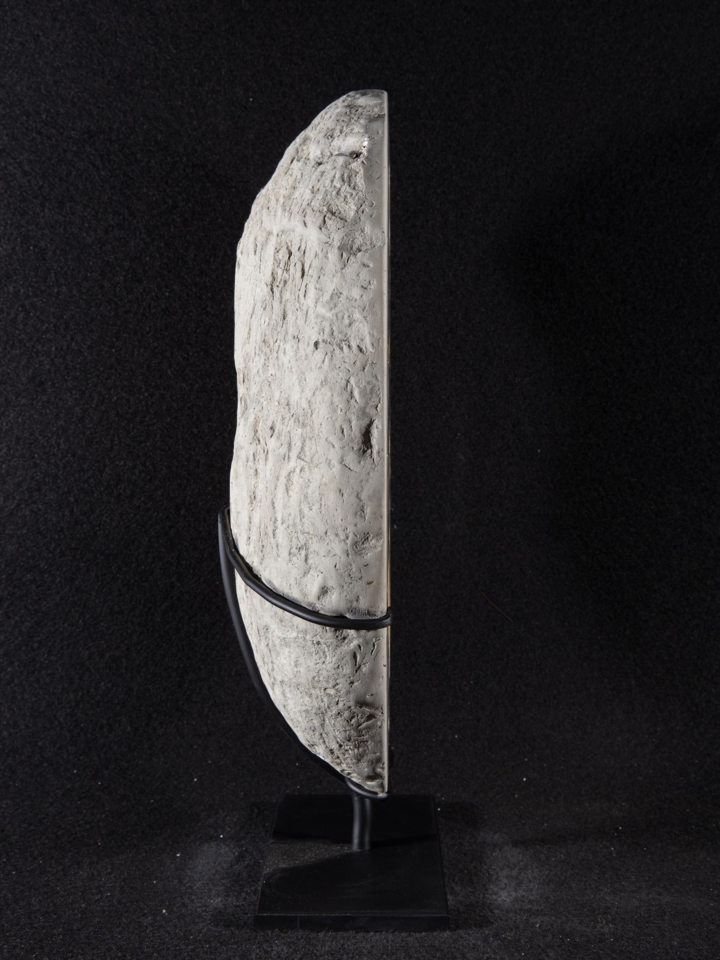 Other Septarian on Custom Made Metal Base For Sale