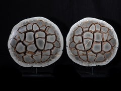 Septarian Pair on Custom Made Metal Base