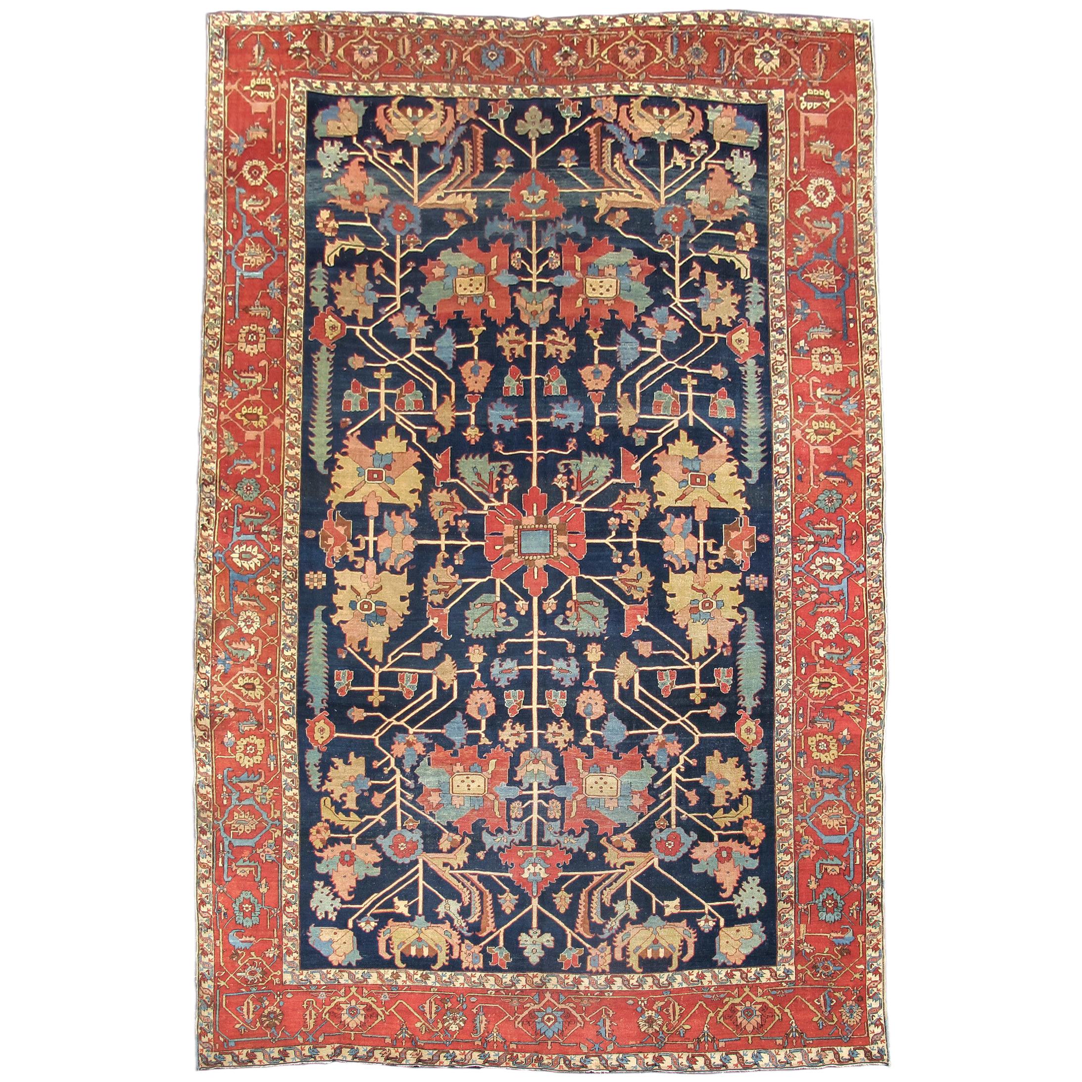 Serapi Carpet For Sale