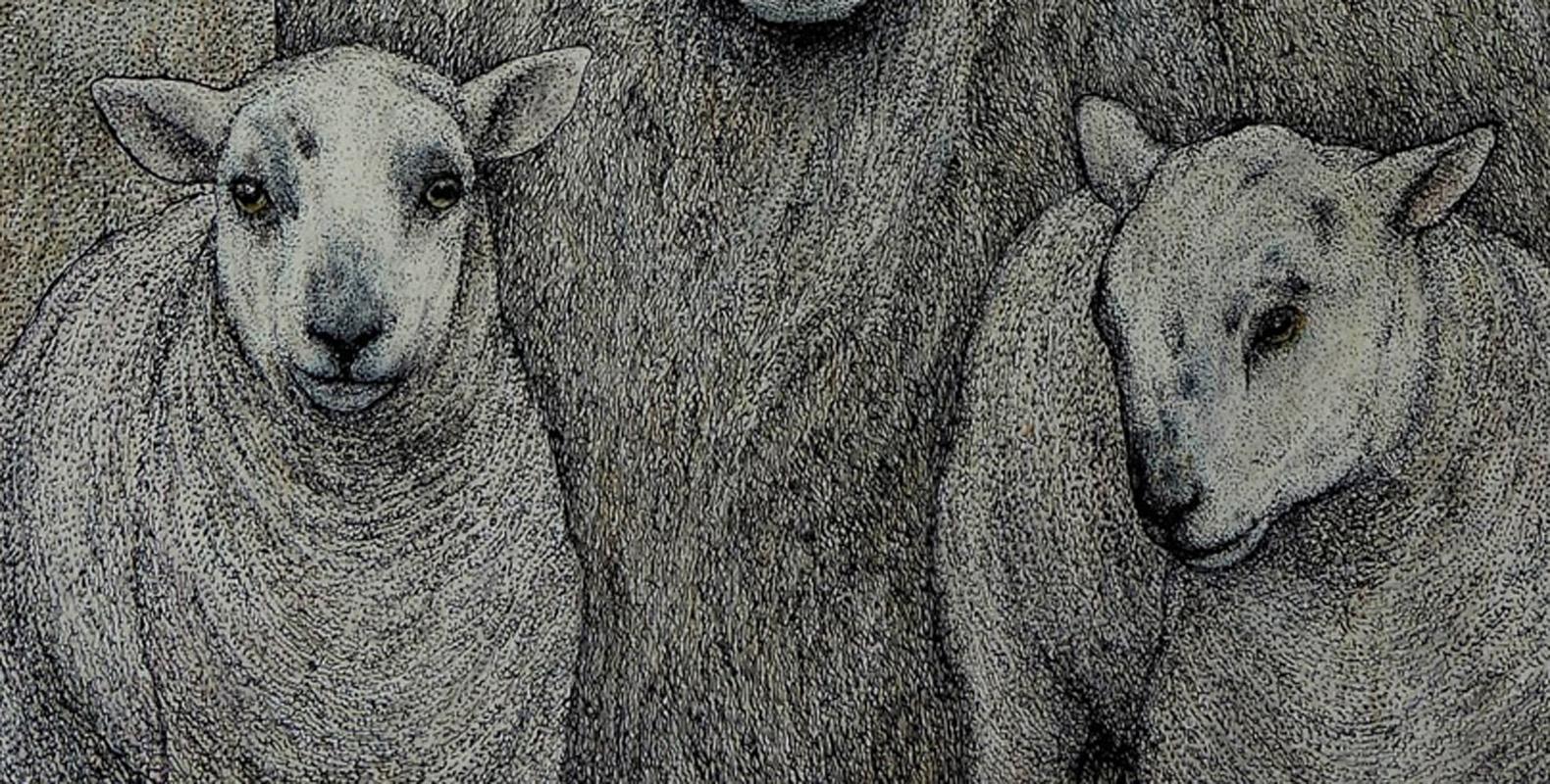 British Seren Bell 'Welsh', Mixed Media on Artists Paper, Twin Lambs For Sale