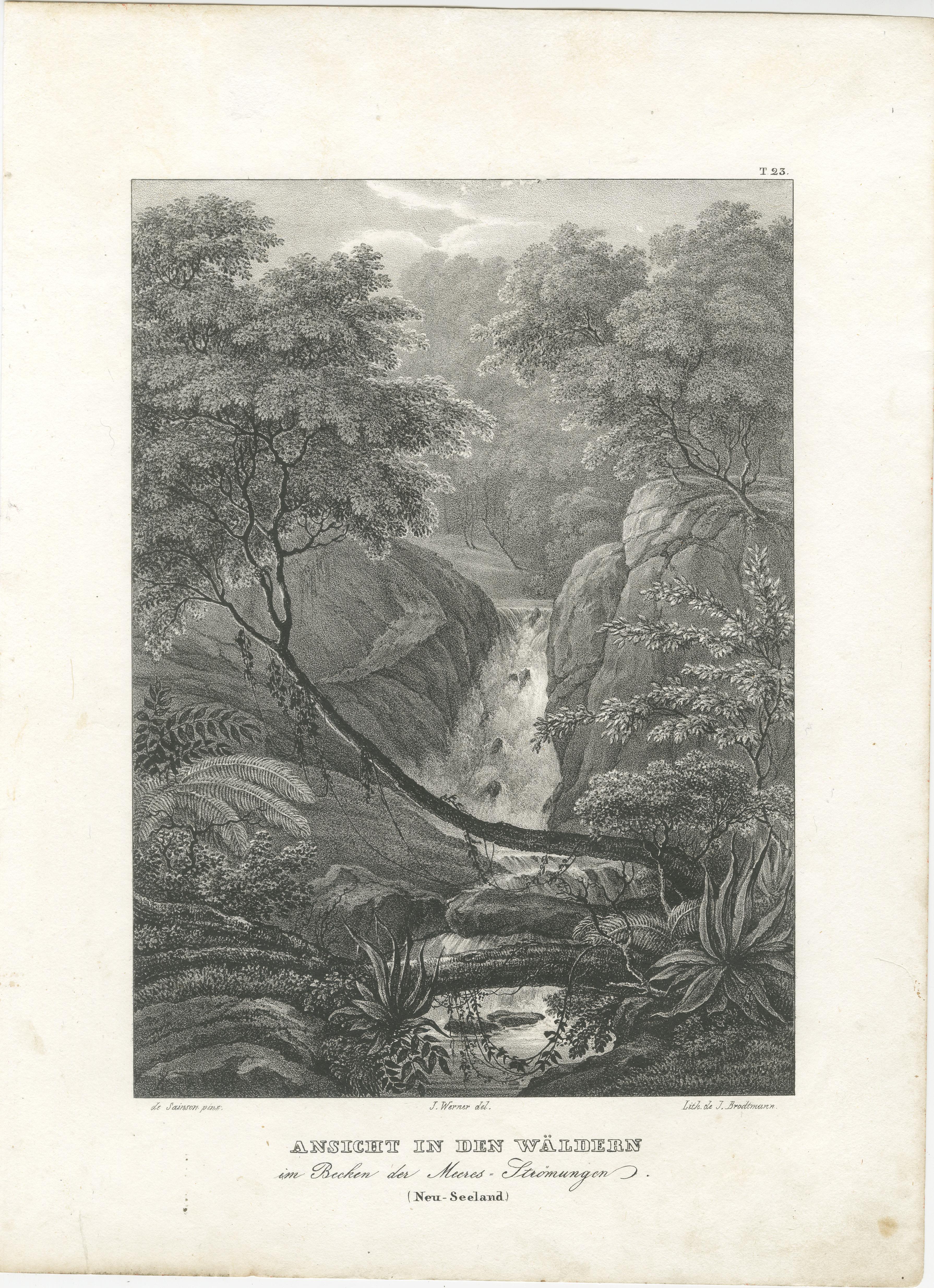 Title: Serene Forest View in the Moa Basin, New Zealand  

Description: This exquisite lithograph, circa 1836, captures a tranquil scene of lush forested terrain in the Moa Basin of New Zealand. The composition highlights the natural beauty of the