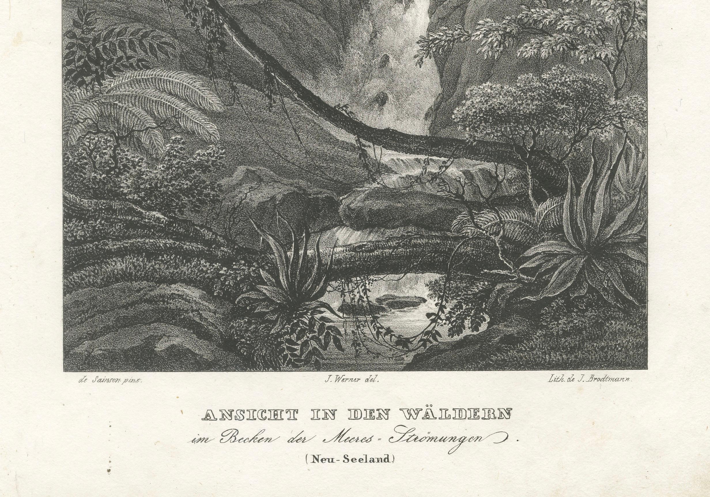 Paper Serene Forest View in the Moa Basin, New Zealand, Lithograph Published in 1836 For Sale