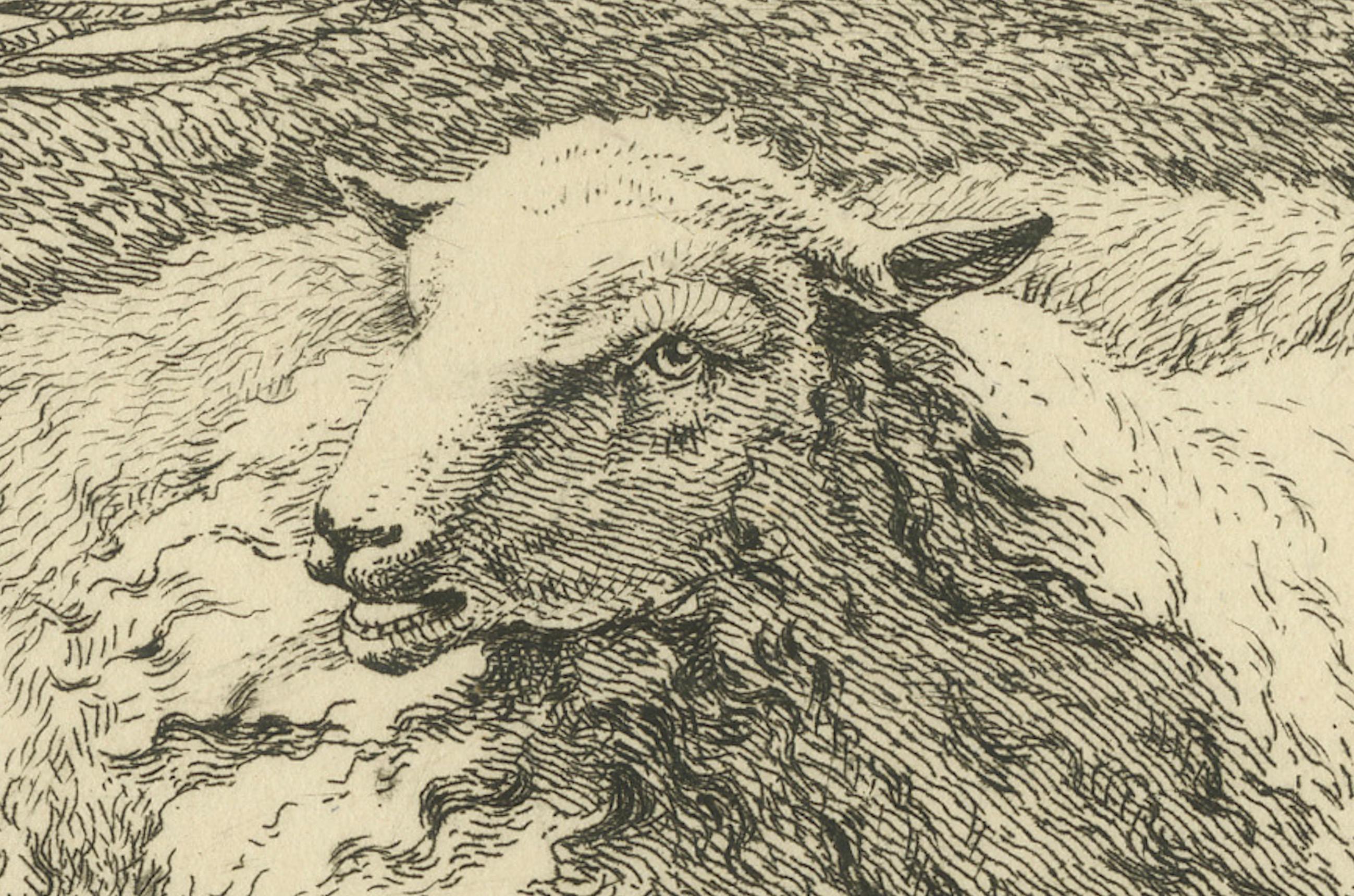 Paper Serene Pastoral Scene with Two Resting Sheep: Etching by Anthony Oberman, 1810 For Sale