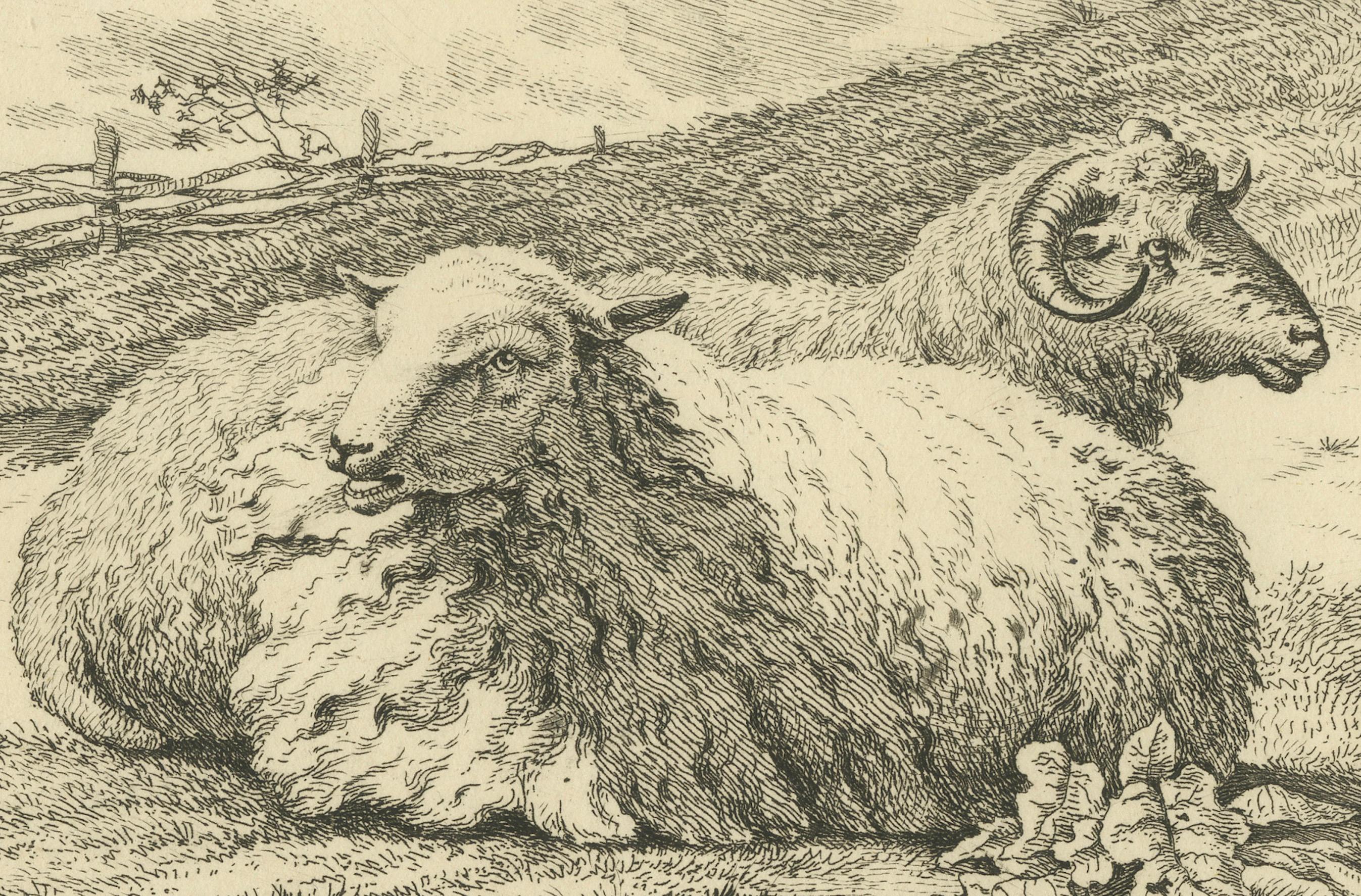 Serene Pastoral Scene with Two Resting Sheep: Etching by Anthony Oberman, 1810 For Sale 1