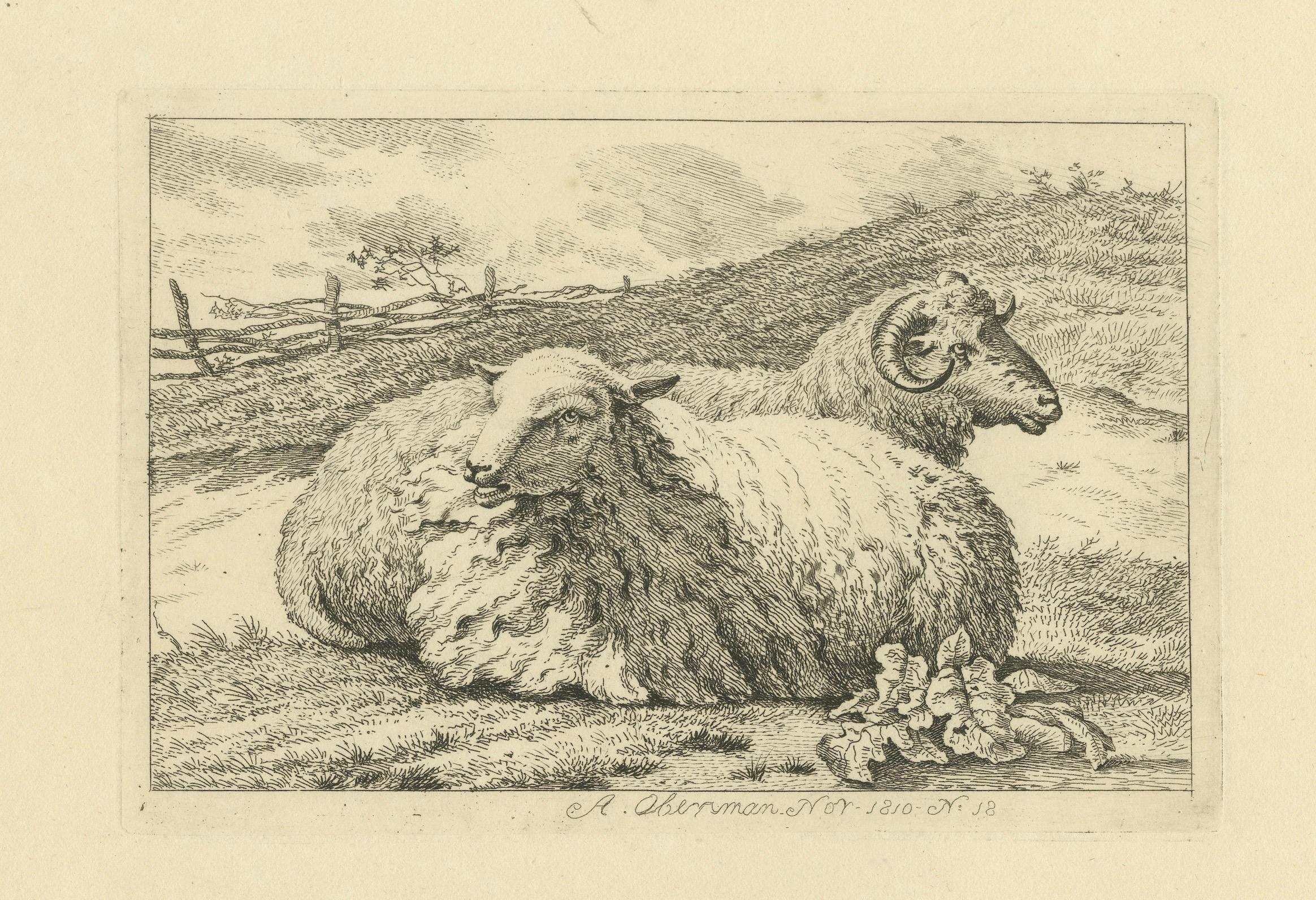 Serene Pastoral Scene with Two Resting Sheep: Etching by Anthony Oberman, 1810 For Sale 2