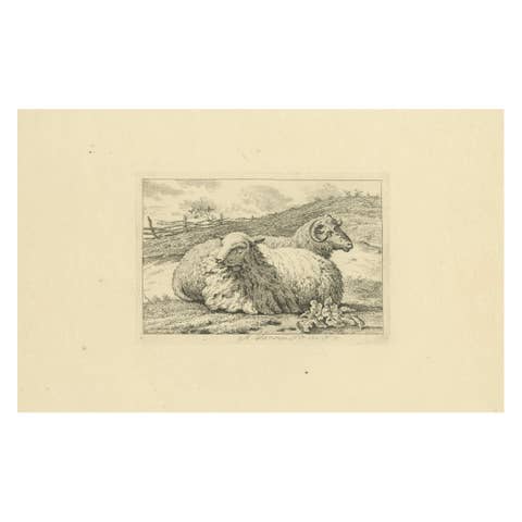 Serene Pastoral Scene with Two Resting Sheep: Etching by Anthony Oberman, 1810
