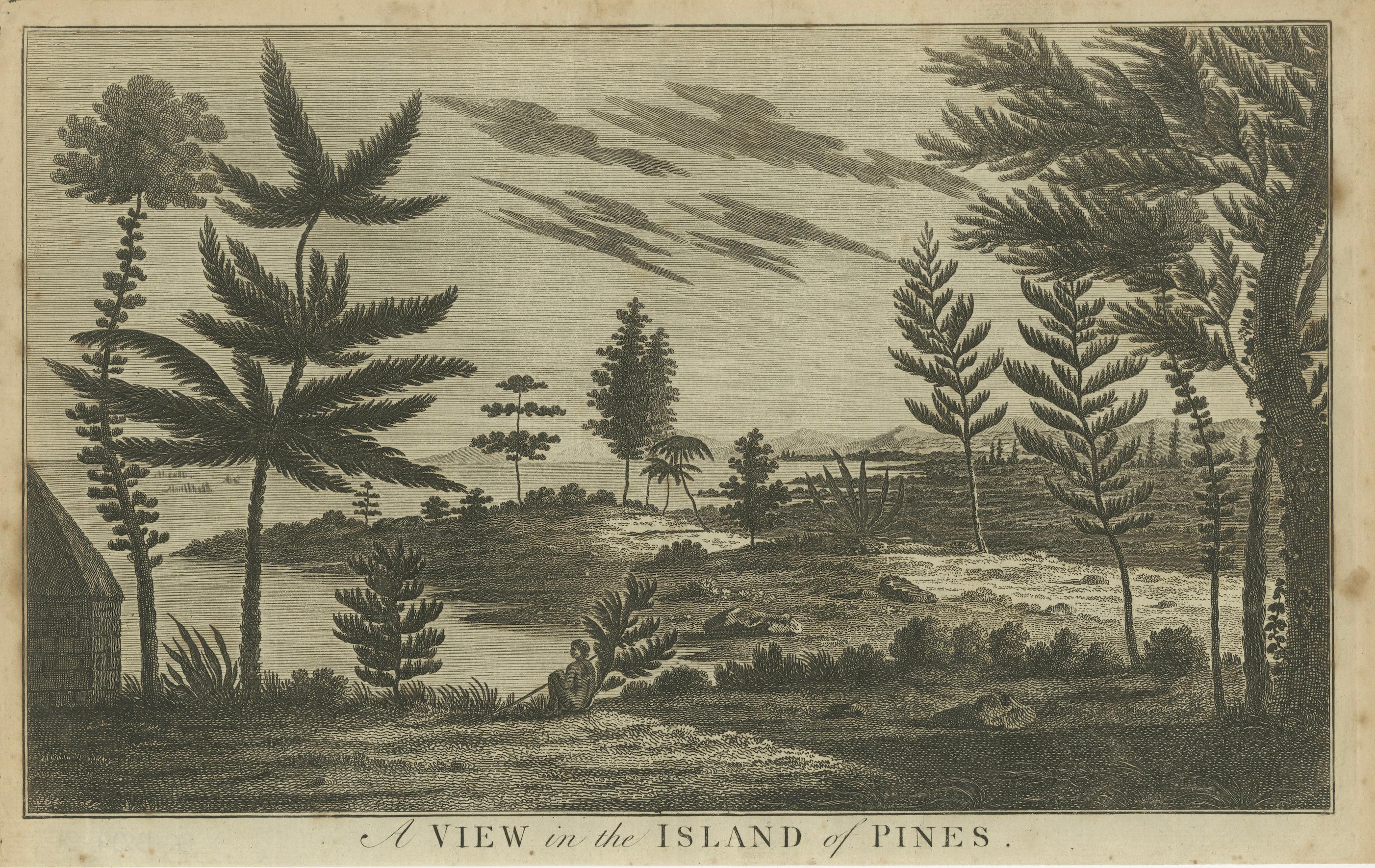 Serenity at Isle of Pines: A Hodges Engraving of Isle of Youth, Cuba. Circa 1785 In Good Condition For Sale In Langweer, NL