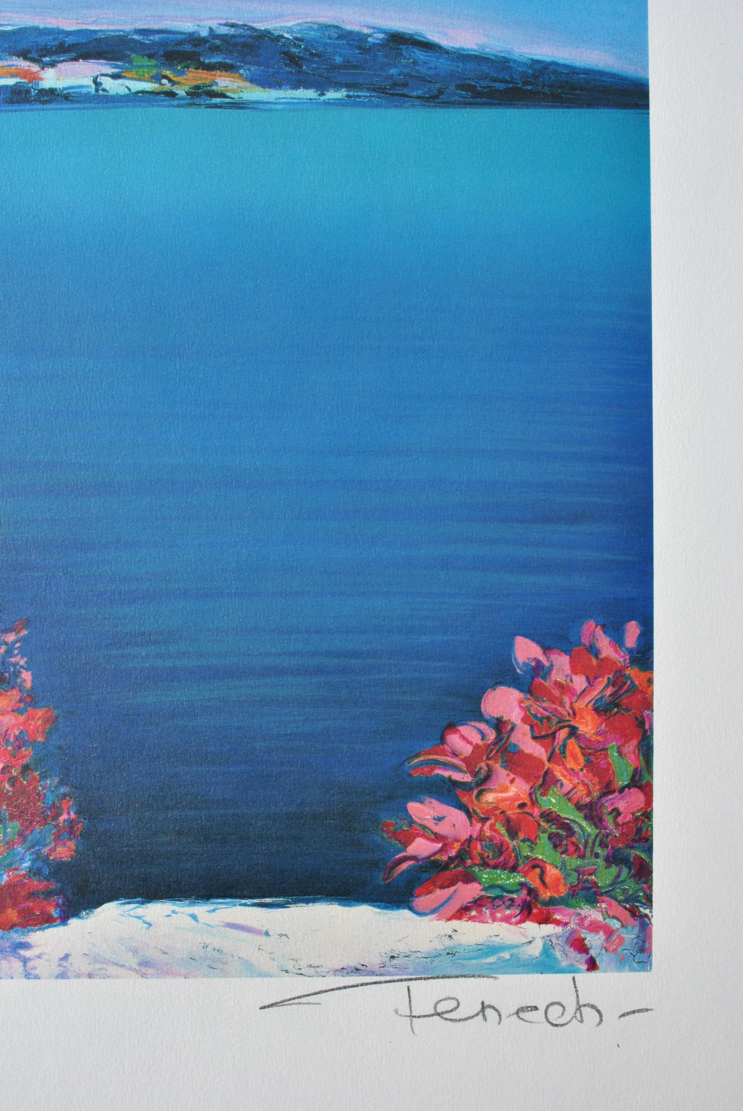 Riviera : Flowers at Santorini - Original Lithograph, HANDSIGNED & Ltd /390 For Sale 1