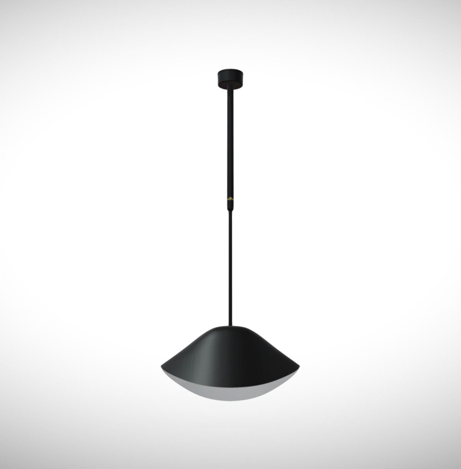 French Serge Mouille 'Bibliothèque Courbe' Ceiling Lamp in Black For Sale
