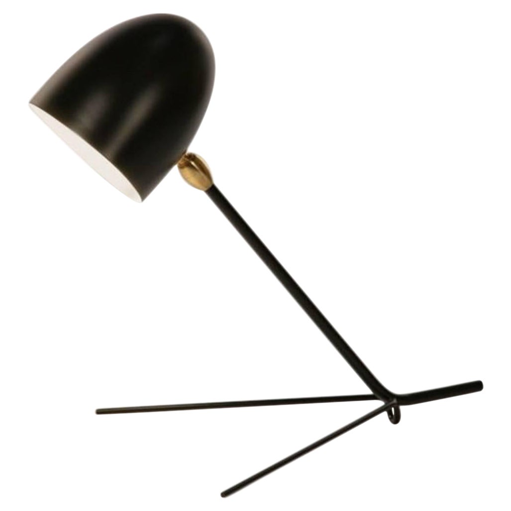 DESCRIPTION:
An elegant triangular base supporting a slender, straight arm and cylindrical shade allows this deceivingly simple lamp to adapt well in any setting.

COLOR OPTION:
Available in Black or White

FEATURES:
Shade rotates and