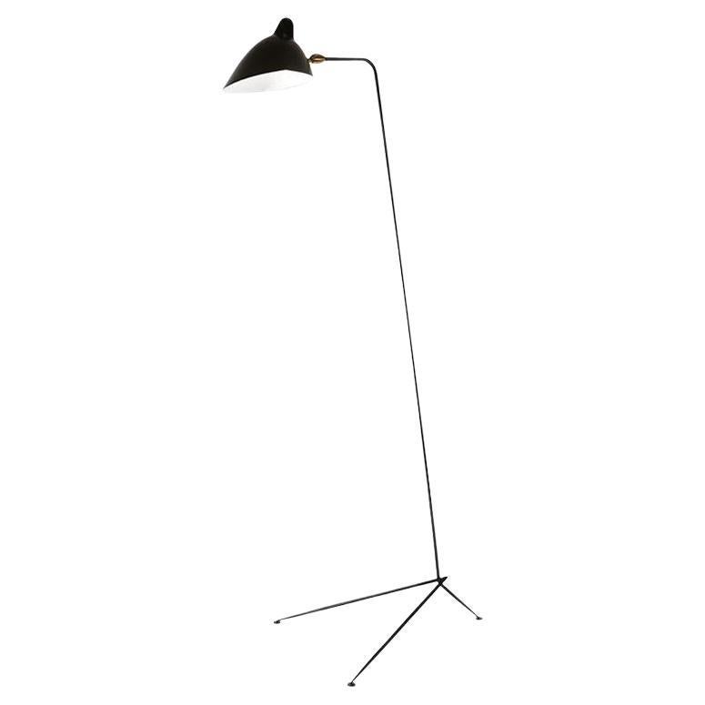 Serge Mouille - 2 Floor Lamps with 1 Arm in Black For Sale