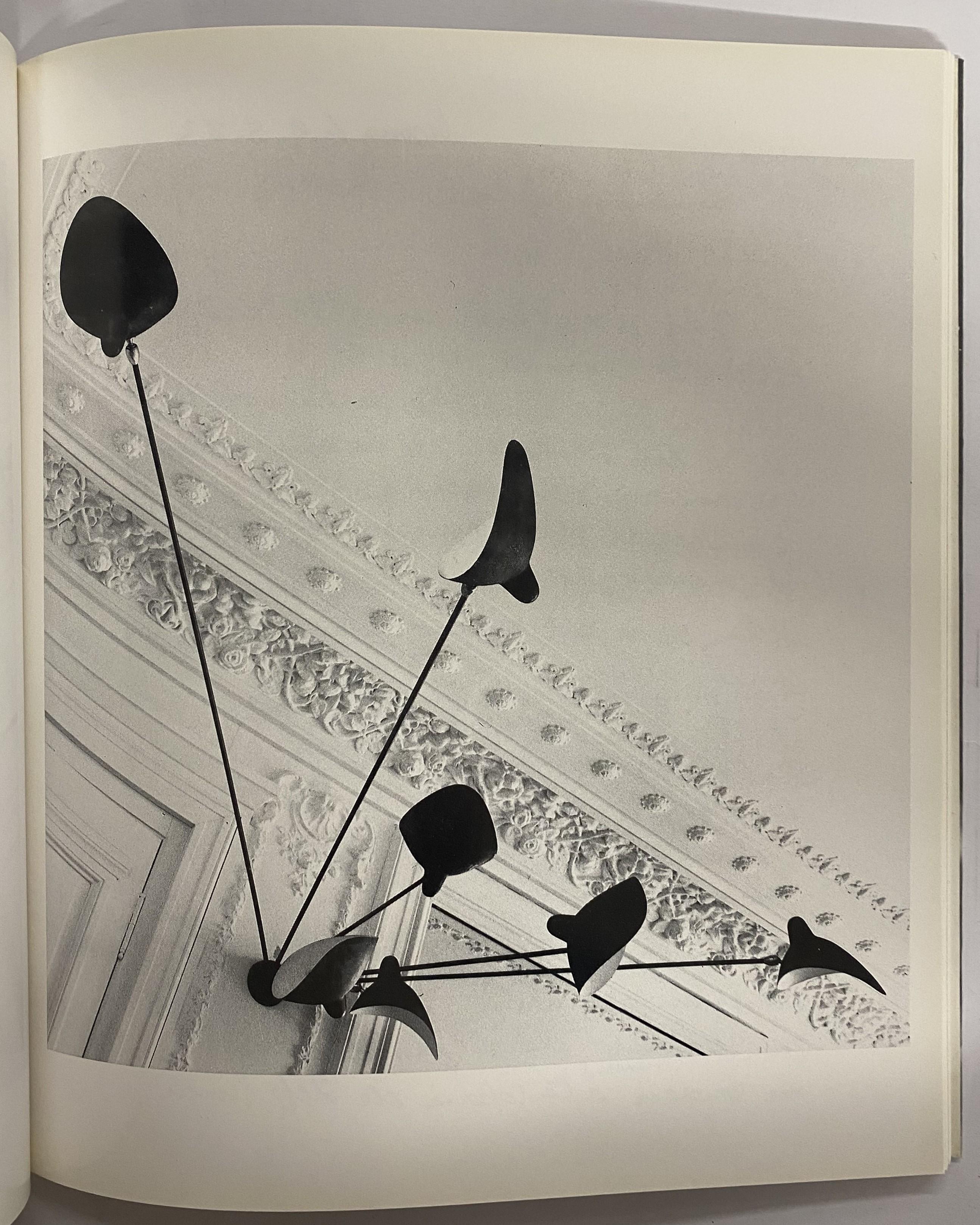 Serge Mouille Luminaires (Book) For Sale 2