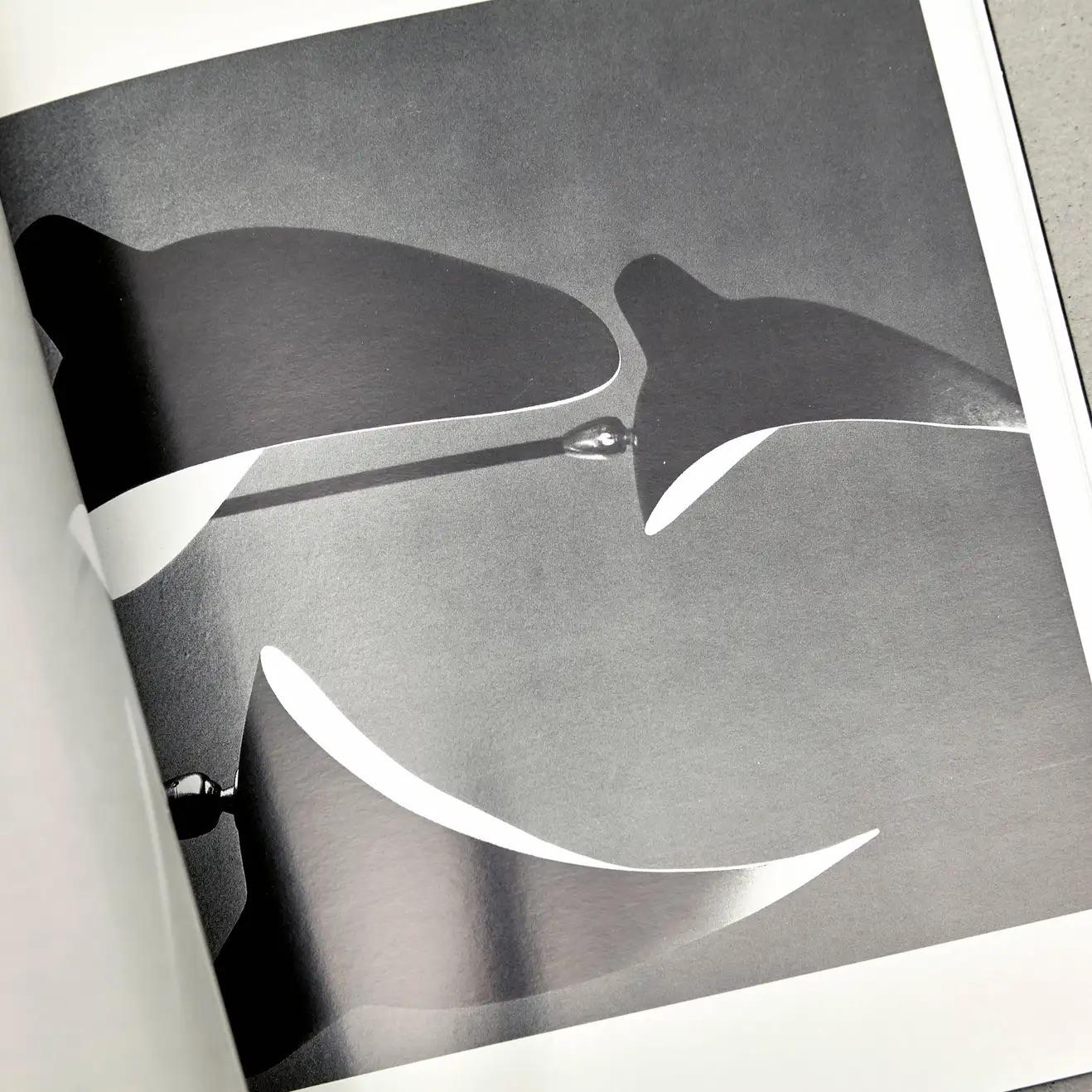 Serge Mouille Luminaires, Buch „Le Regard D'alan“ (Französisch) im Angebot