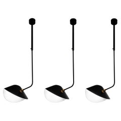 Serge Mouille Mid-Century Modern Black Curved Bibliothèque Ceiling Lamp Set