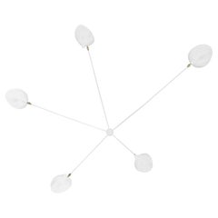 Serge Mouille Mid-Century Modern White Five Fixed Arms Spider Ceiling Wall Lamp