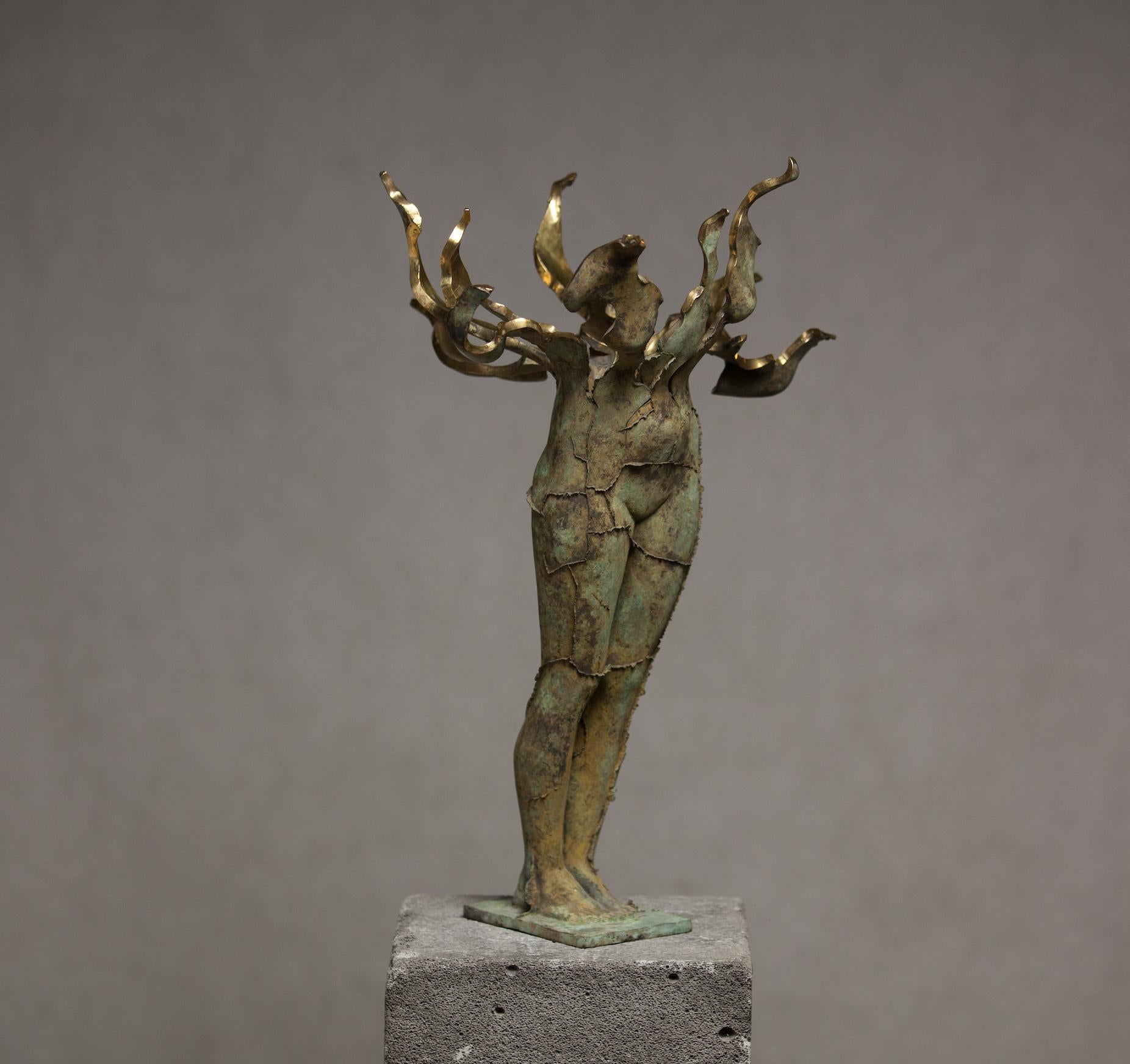 "Fateful Flowers №1" Sculpture 17"x11.5"x11.5"inch Ed. 1/1 by Sergii Shaulis 

2020
From the Fateful Flowers series
Approximate weight 15 lbs 

ABOUT ARTIST 
Born on 27 May 1985 in Kharkiv, Ukraine. From 2005 to 2011 studied at the Kharkiv State