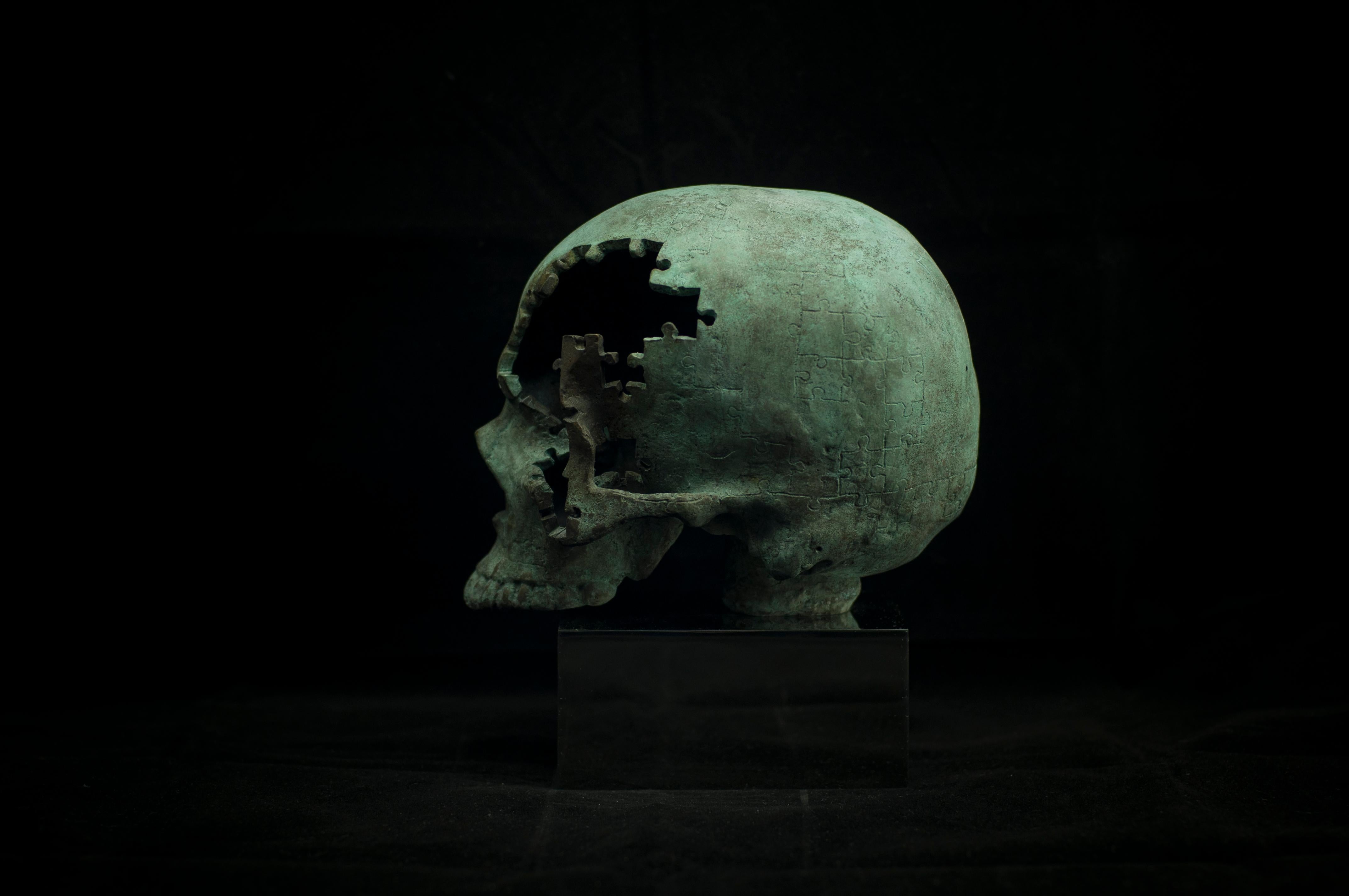 Skulls Alphabet Nr. Sculpture en bronze et acier « D » de Sergii Shaulis en vente 2
