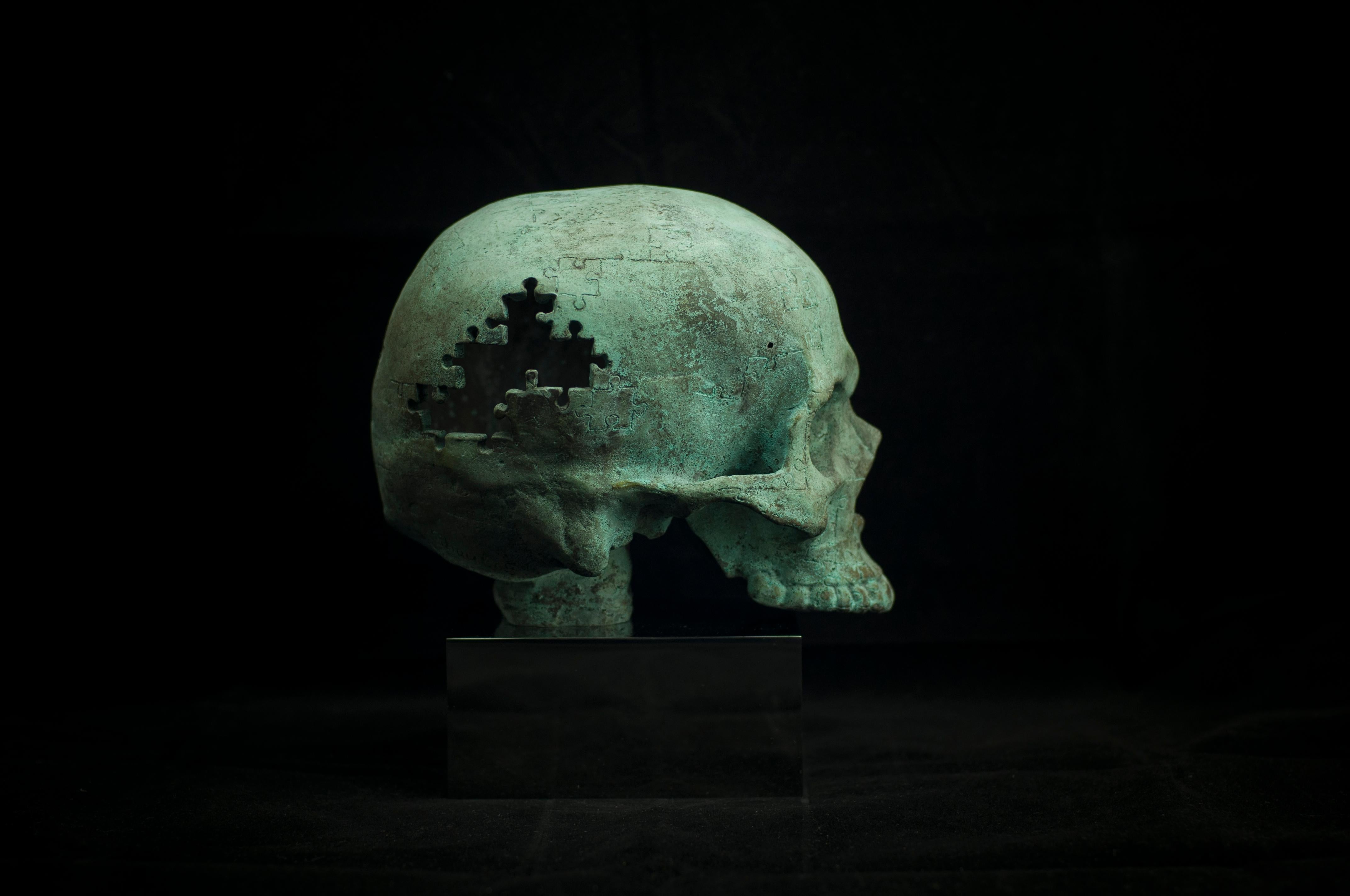 Skulls Alphabet Nr. Sculpture en bronze et acier « D » de Sergii Shaulis en vente 4