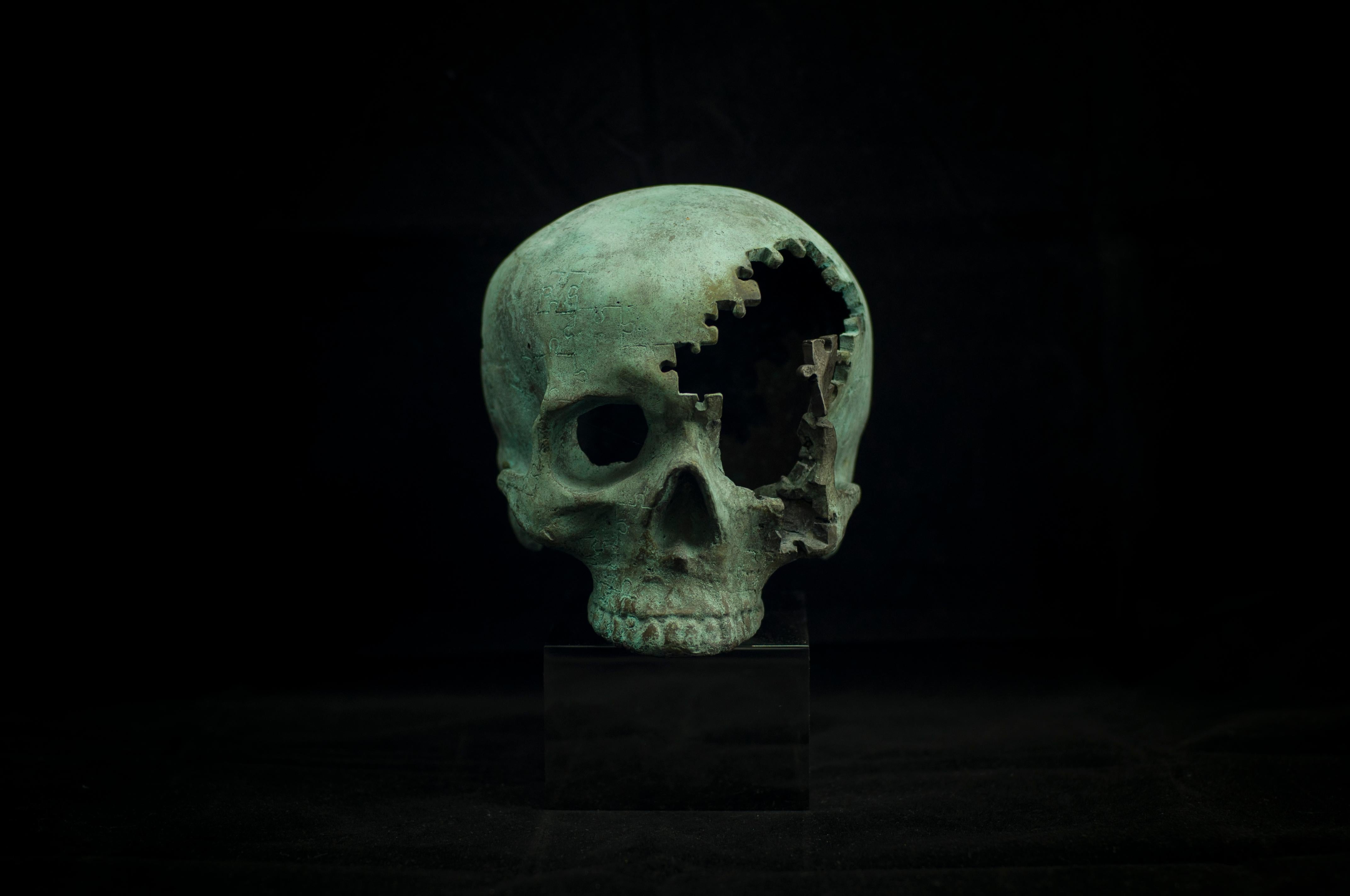 Skulls Alphabet Nr. Sculpture en bronze et acier « D » de Sergii Shaulis en vente 6
