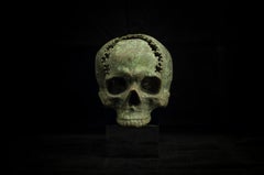 "Skulls Alphabet Nr. F" Bronze and Steel Sculpture 1/1 by Sergii Shaulis