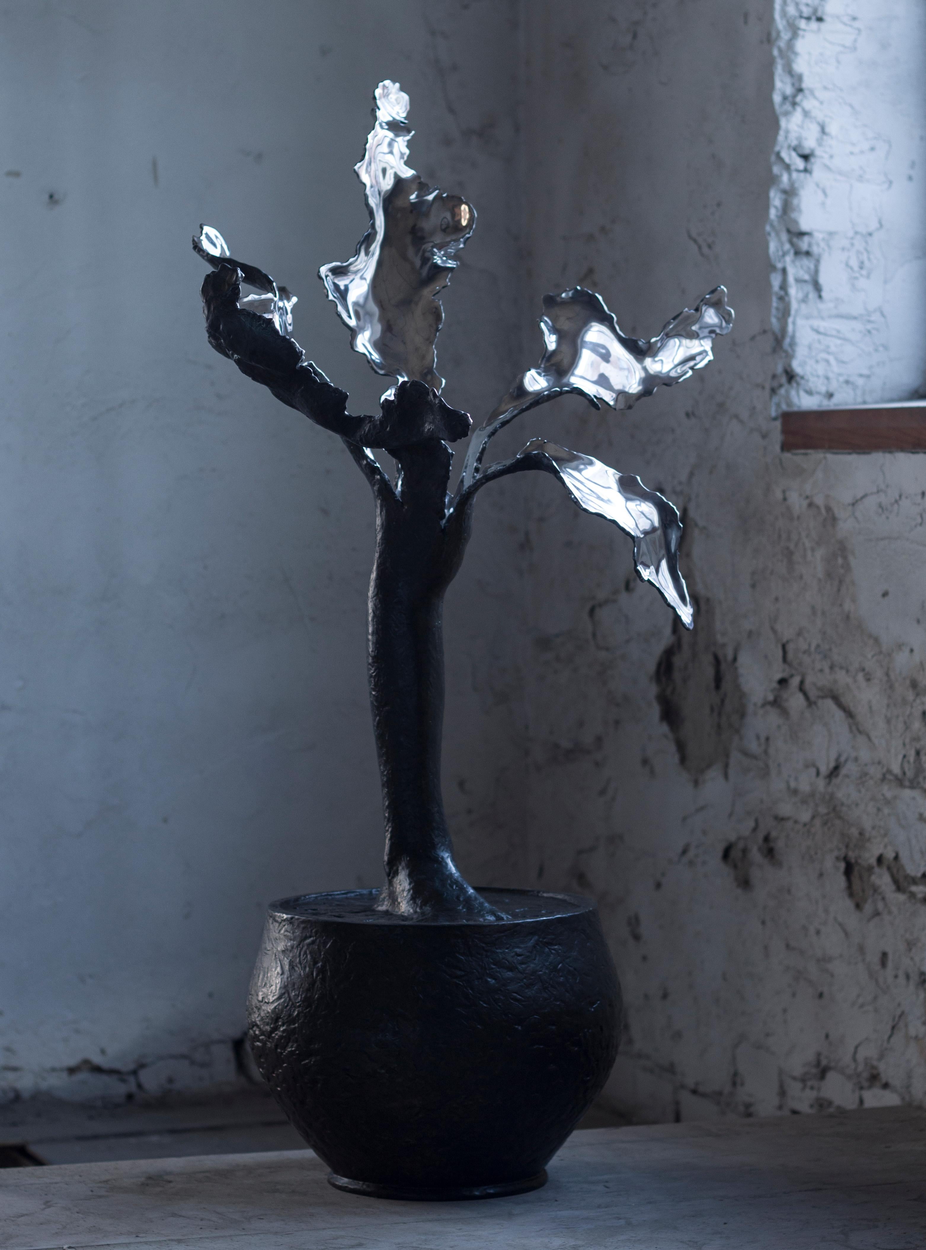 "Junge Blume" Skulptur 41" x 24,5 "x 13" Zoll Ed. 1/5 von Sergii Shaulis 

2022
Aluminium
Aus der Serie Schicksalsblumen
Ungefähres Gewicht 33 lbs 

ÜBER KÜNSTLER 
Geboren am 27. Mai 1985 in Charkiw, Ukraine. Von 2005 bis 2011 studierte sie an der