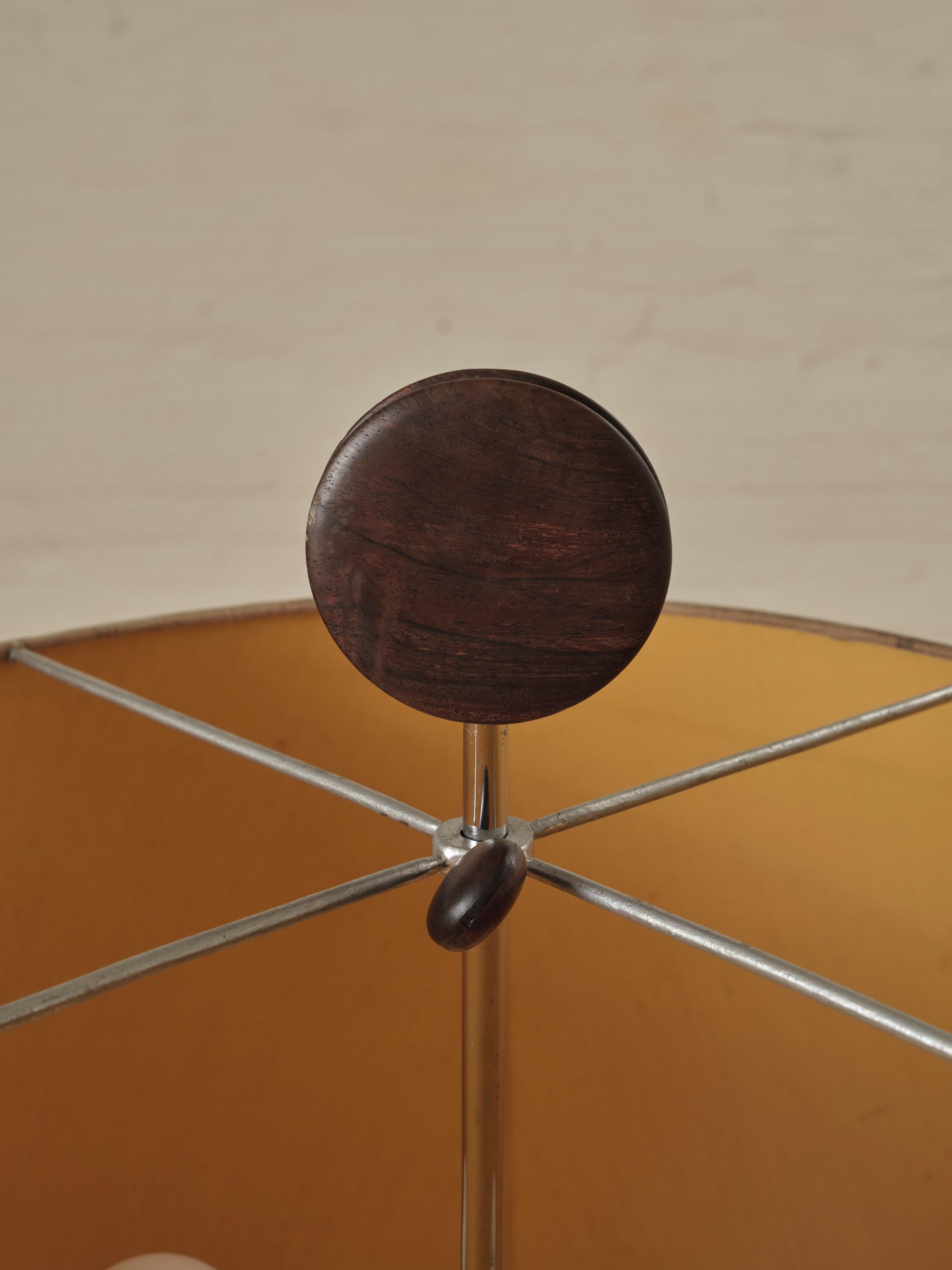 20th Century Sérgio Augusto Floor Lamp by Sergio Rodrigues