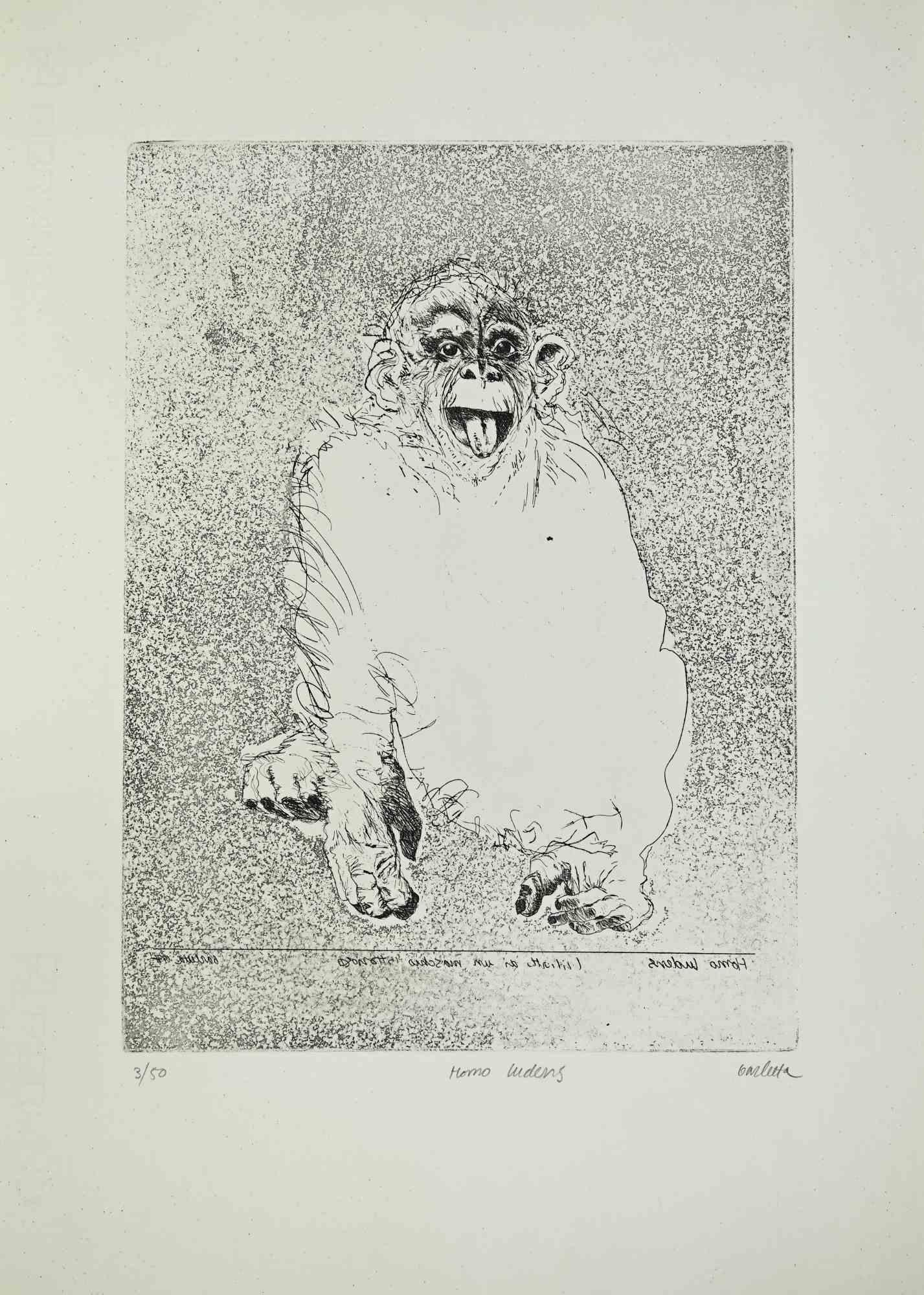 Drawing Animal Prints