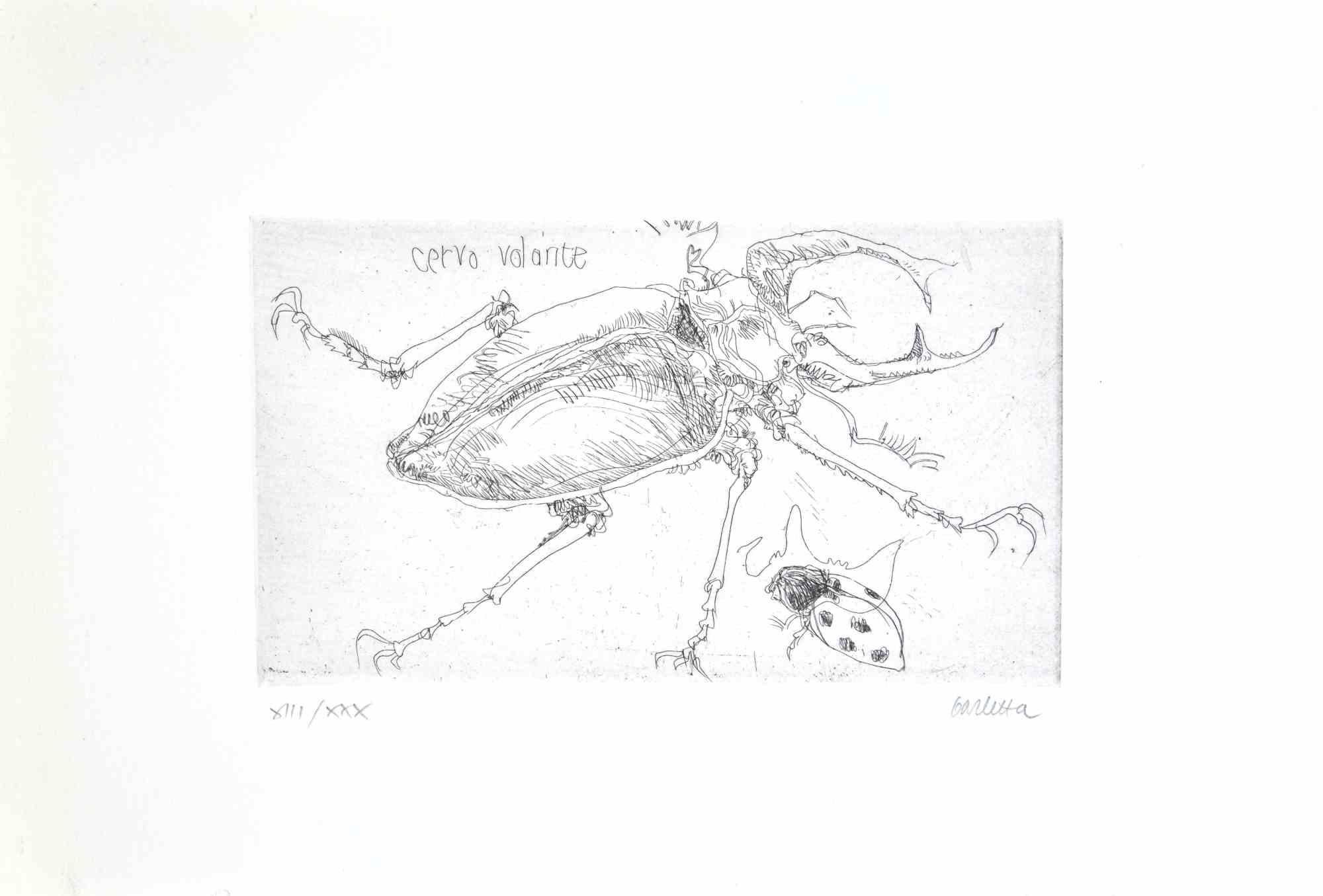 Insect  is an etching realized by  Sergio Barletta in 1974.

Hand-signed in pencil on the lower right. Numbered on the lower left in Roman numerals, from the edition of XXX prints.

Titled in Italian at the top left  "Cervo Volante".

Edition