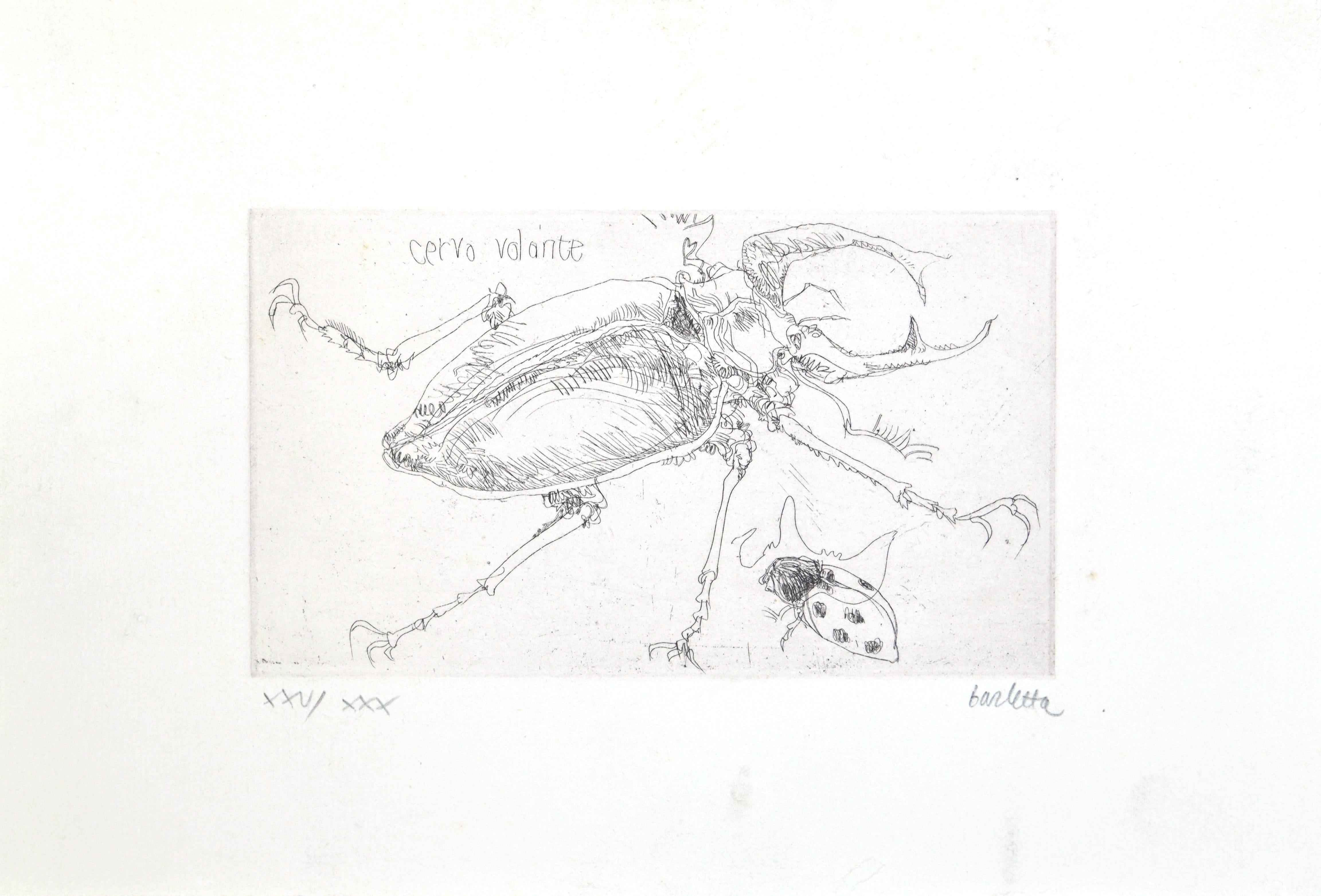 Insects is an etching, realized by Sergio Barletta in 1974.

Hand-signed in pencil on the lower right. Numbered on the lower left in Roman numerals, from the edition of XXX prints.

Titled in Italian at the top left "Cervo Volante". Image