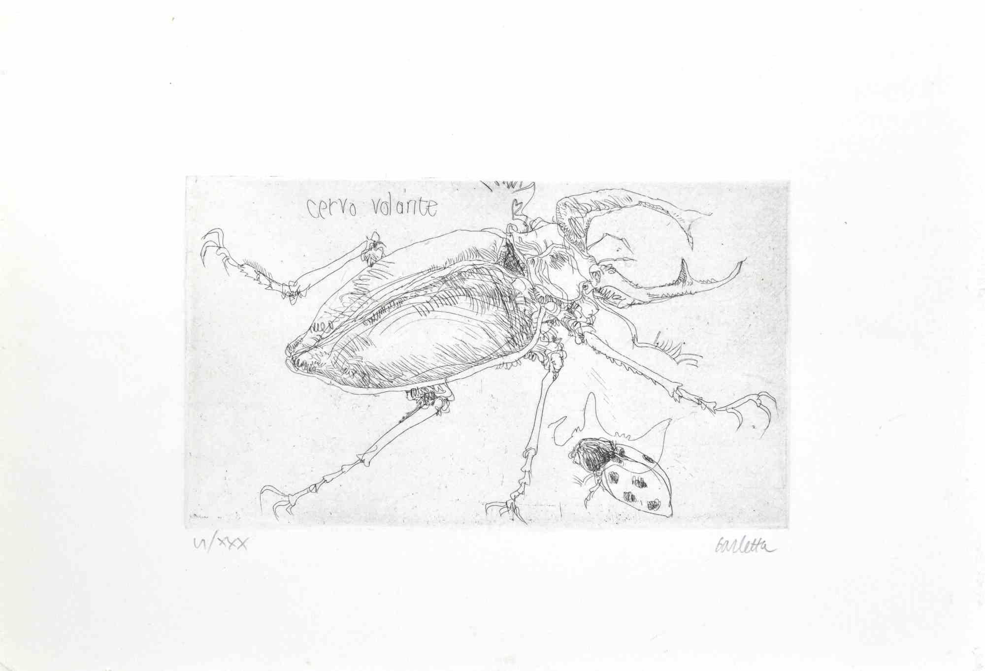Insects  is an etching realized by  Sergio Barletta in 1974.

Hand-signed in pencil on the lower right. Numbered on the lower left in Roman numerals, from the edition of XXX prints.

Titled in Italian at the top left  "Cervo Volante".

In very good