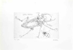 Vintage Insects - Etching by Sergio Barletta - 1974
