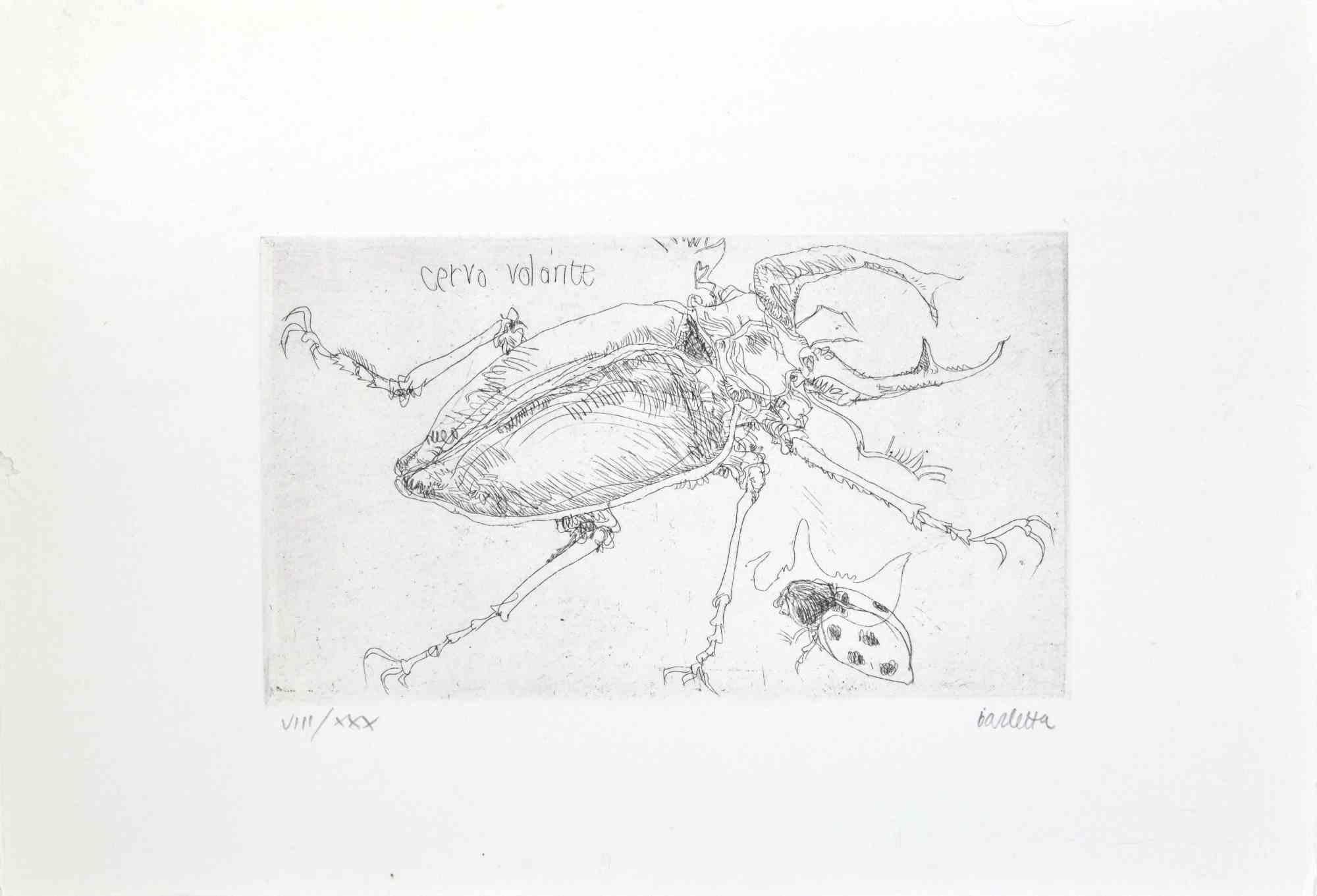 Insects  is an etching realized by  Sergio Barletta in 1974.

Hand-signed in pencil on the lower right. Numbered on the lower left in Roman numerals, from the edition of XXX prints.

Titled in Italian at the top left  "Cervo Volante".

Edition
