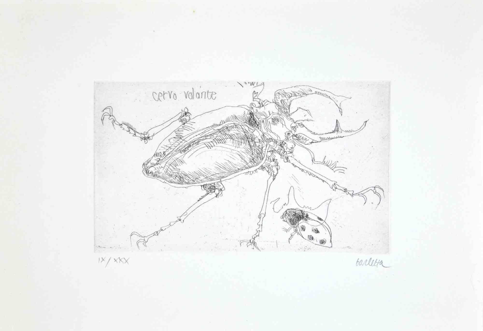 Insectes  est une gravure réalisée par  Sergio Barletta en 1974.

Signé à la main au crayon en bas à droite. Numérotée en bas à gauche en chiffres romains, de l'édition de XXX tirages.

Titre en italien en haut à gauche  "Cervo Volante".

Édition
