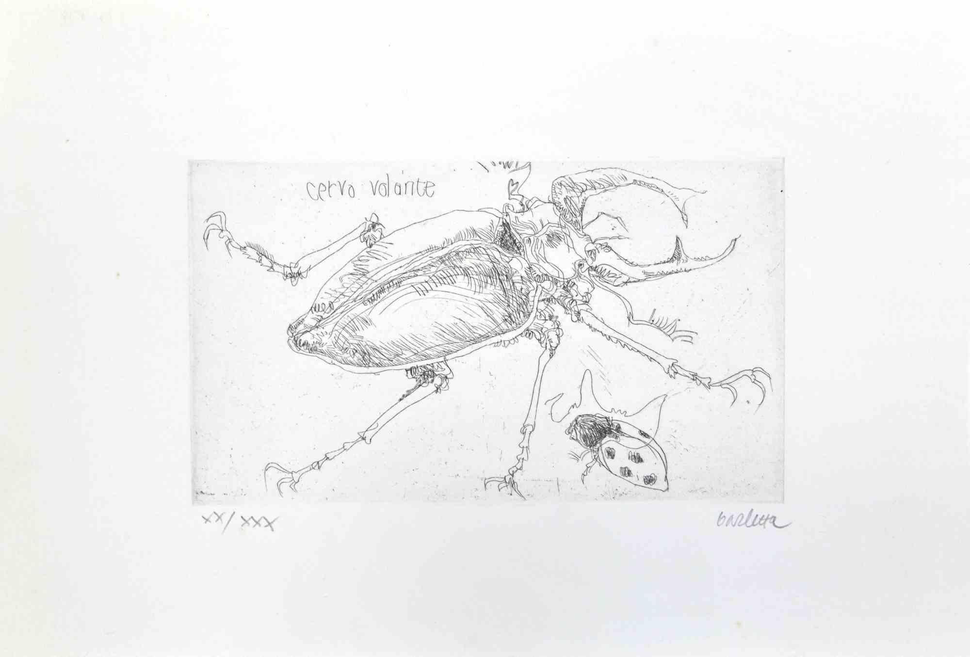 Insects  is an etching realized by Sergio Barletta in 1974.

Hand-signed in pencil on the lower right. Numbered on the lower left in Roman numerals, from the edition of XXX prints.

Titled in Italian at the top left "Cervo Volante".

Edition