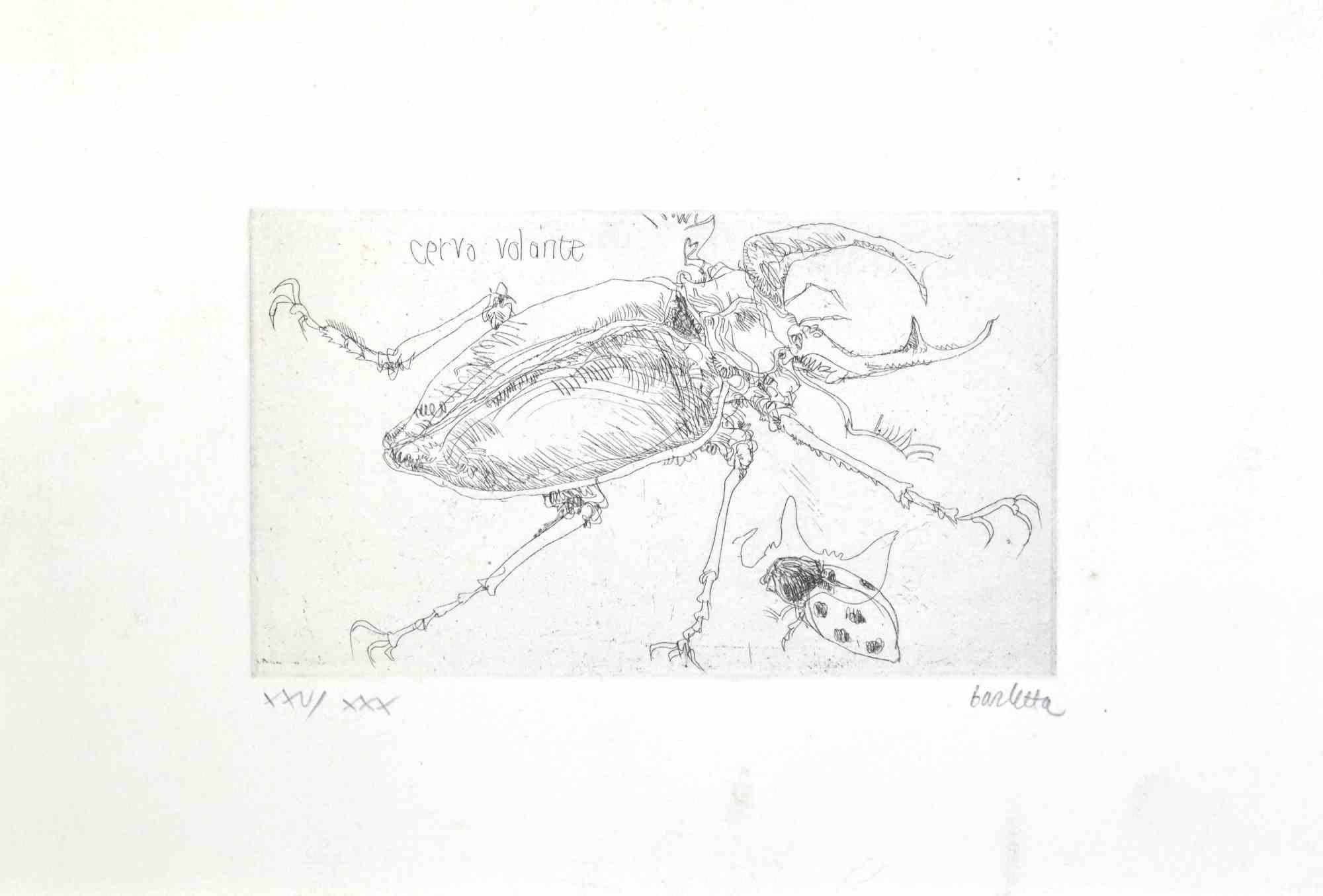Insects  is an etching realized by  Sergio Barletta in 1974.

Hand-signed in pencil on the lower right. Numbered on the lower left in Roman numerals, from the edition of XXX prints.

Titled in Italian at the top left  "Cervo Volante".

edition