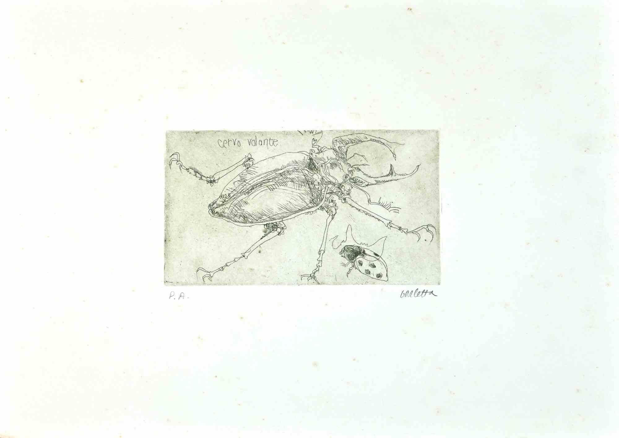 Insects is an etching realized by  Sergio Barletta in 1974.

Hand-signed in pencil on the lower right.

Artist's proof.

In good conditions. 

Here the artwork represents insects through confident strokes, perfectly created,  Sergio