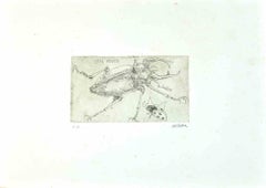 Vintage Insects - Etching by Sergio Barletta - 1974