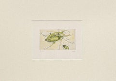 Insects - Original Etching by Sergio Barletta - 1970s