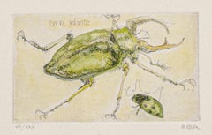 Vintage Insects - Original Etching by Sergio Barletta - 1970s