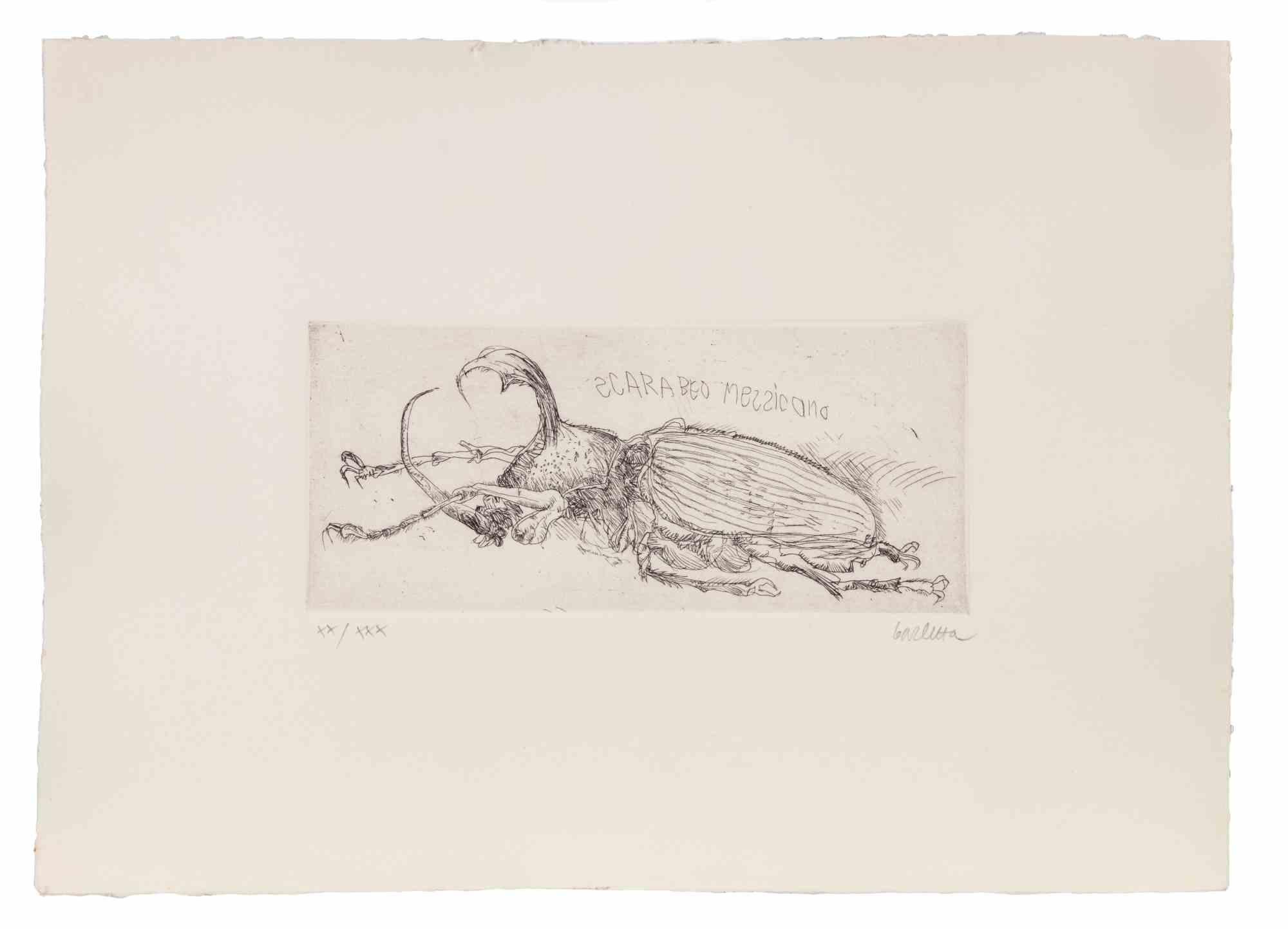 Mexican Beetle - Etching by Sergio Barletta - 1970s