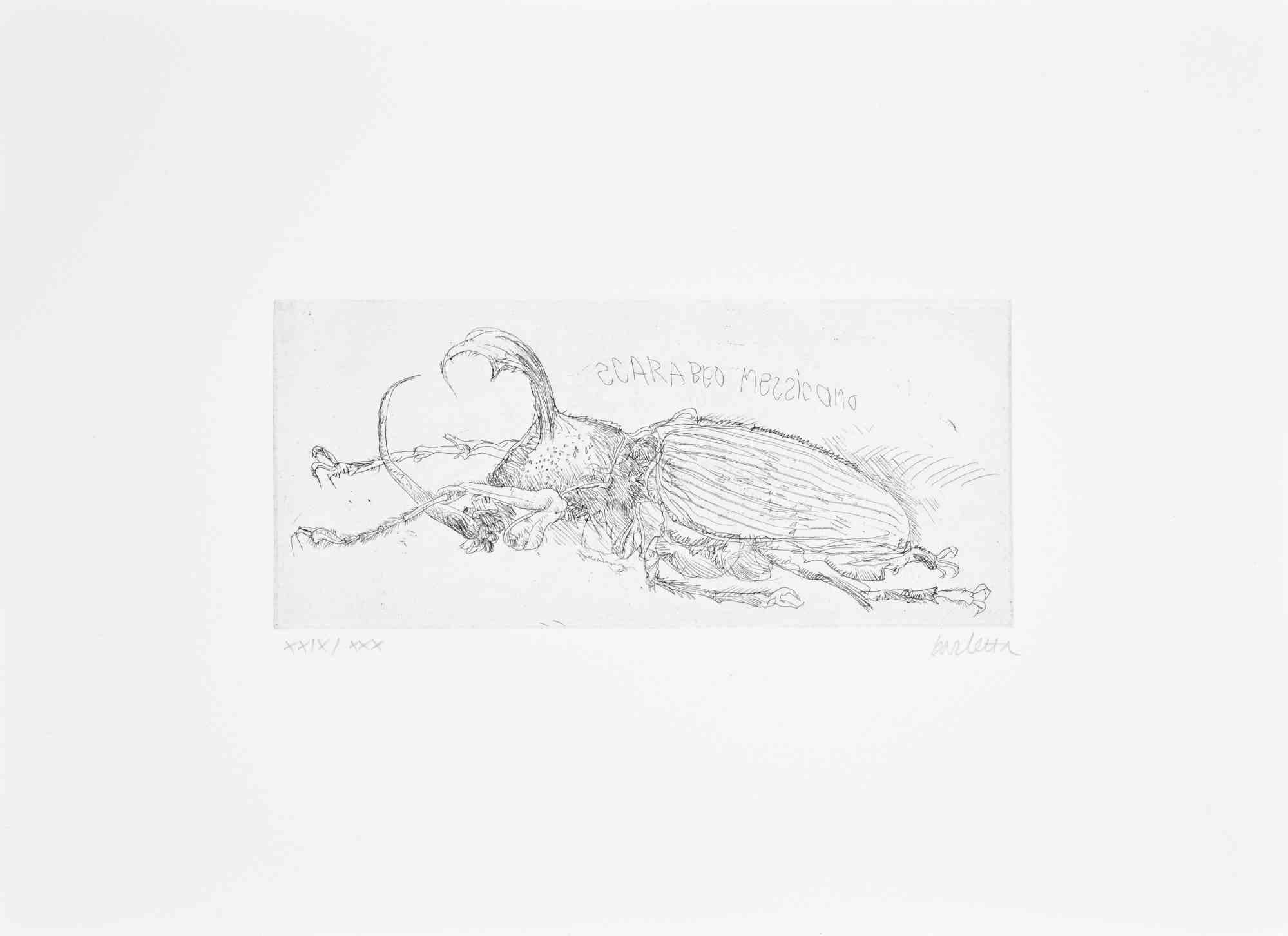 Mexican Beetle - Etching by Sergio Barletta - 1970s
