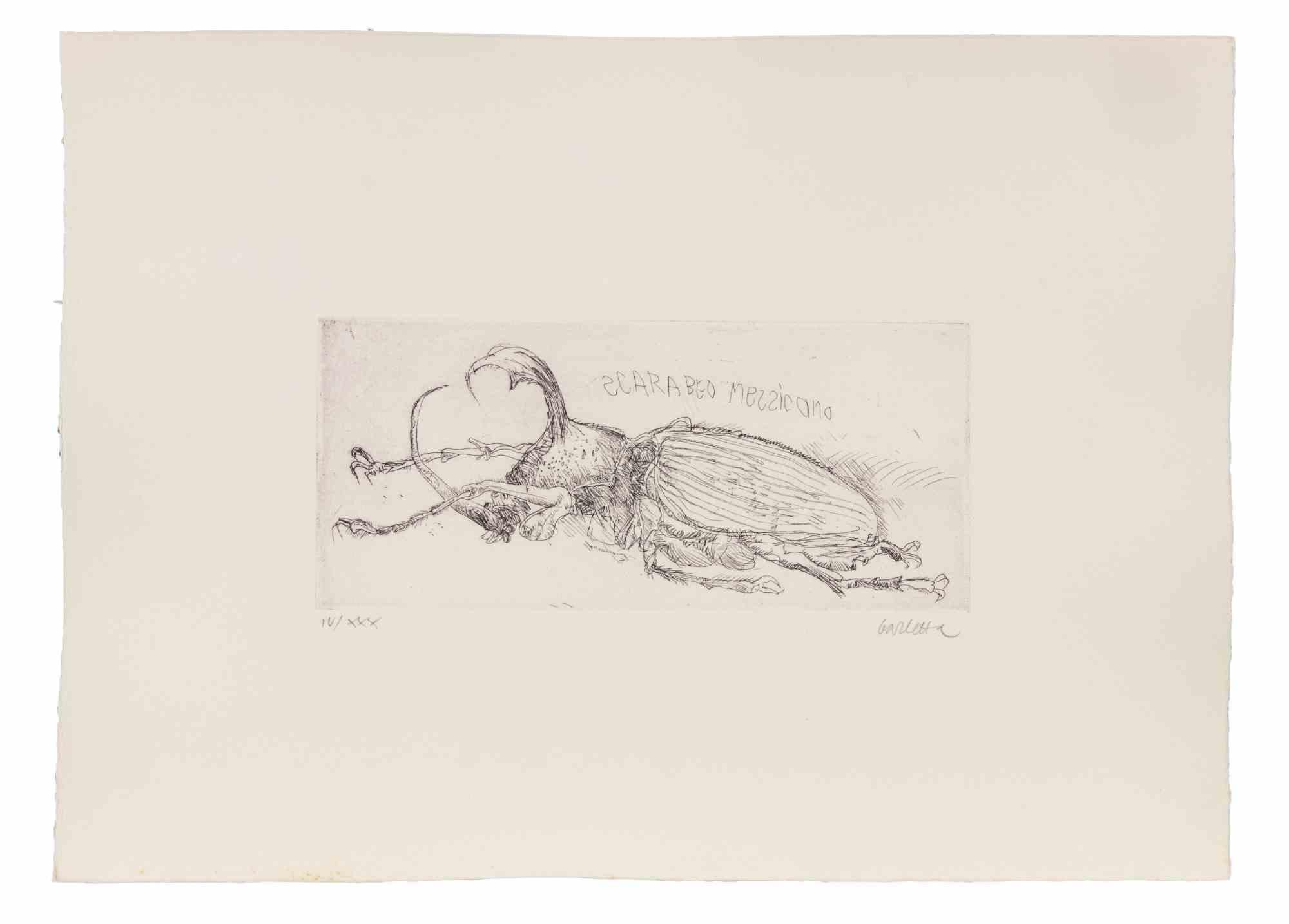 Mexican Beetle - Etching by Sergio Barletta - 1970s