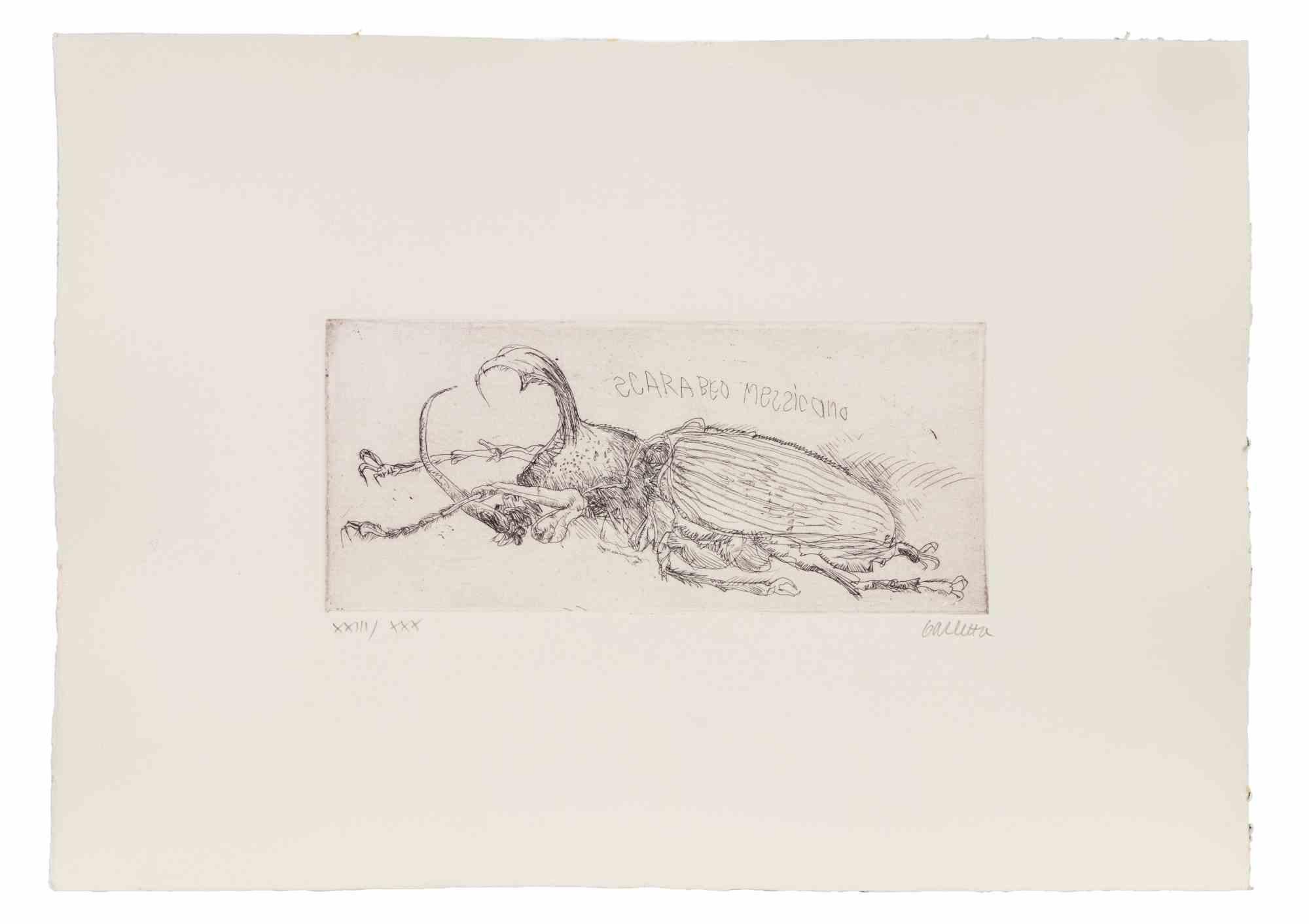 Mexican Beetle  - Etching by Sergio Barletta - 1970s