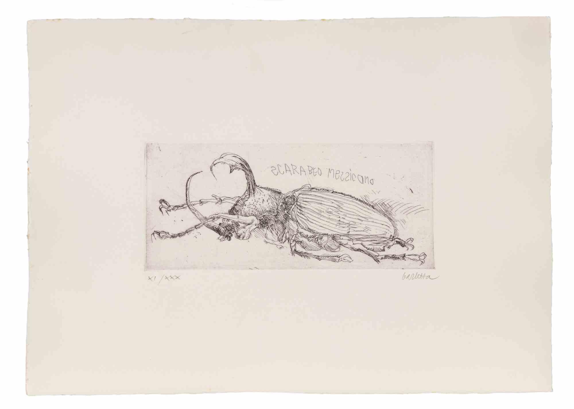Mexican Beetle  - Etching by Sergio Barletta - 1970s