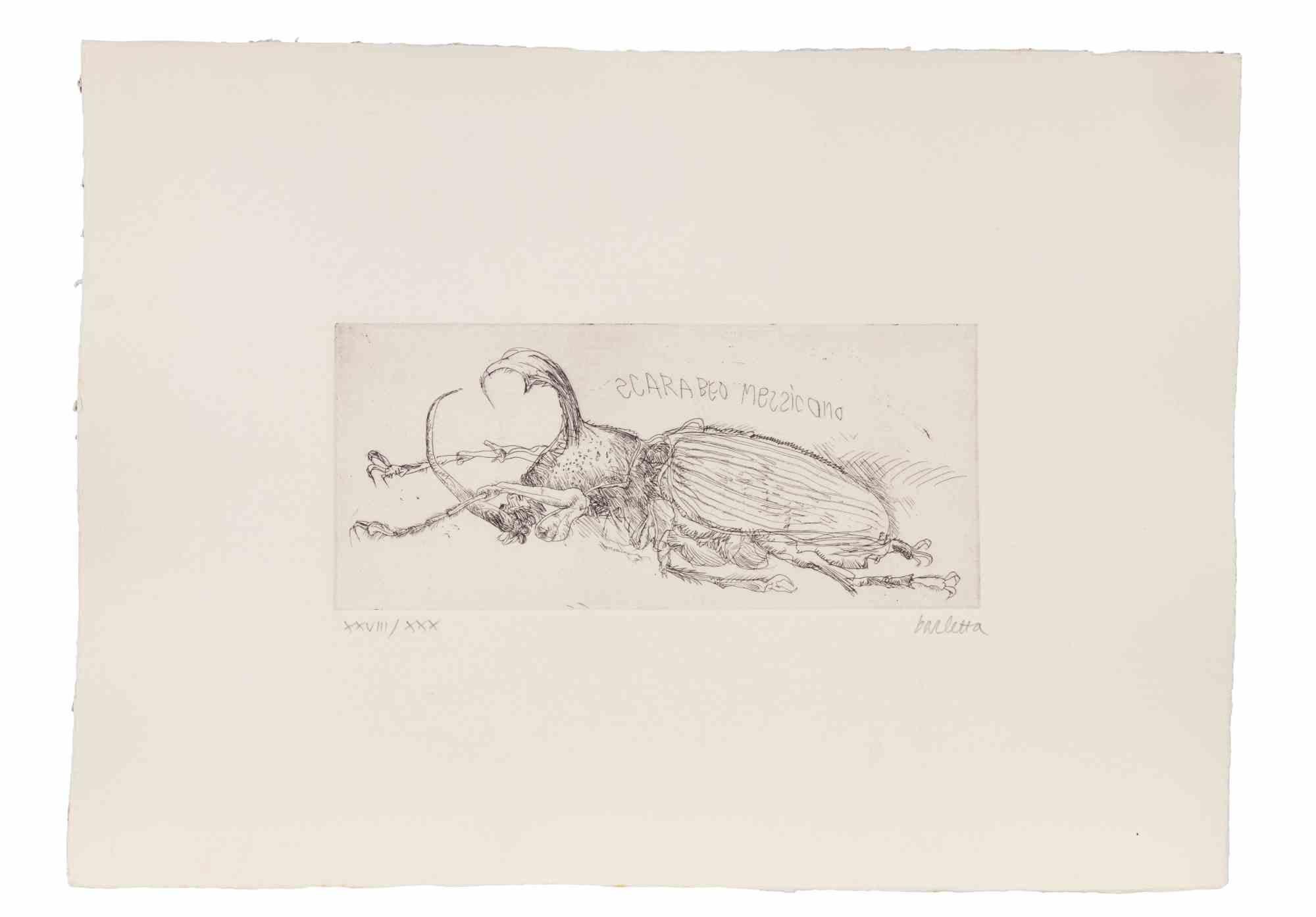 Etching and drypoint realized by Sergio Barletta.

Hand signed and numbered.

Edition of 30 in roman numbers.

Very good condition.