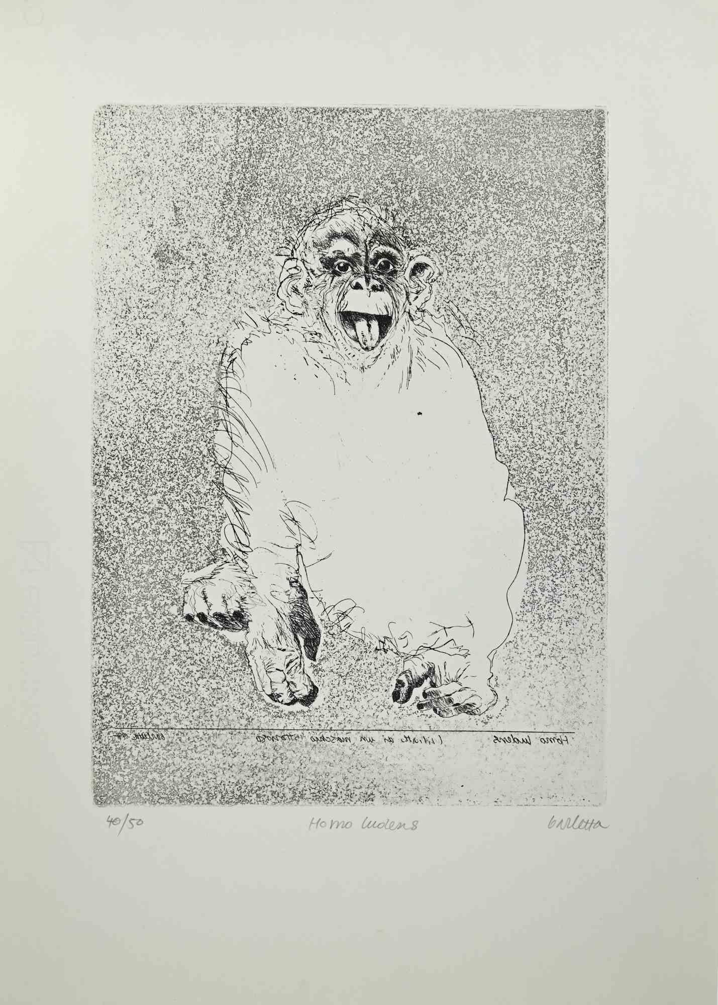 Der Affe ist eine Radierung, die von Sergio Barletta in den 1970er Jahren realisiert wurde.

Rechts unten handsigniert.

Nummeriert, Auflage,40/50.

In sehr gutem Zustand.

Diese wunderbare Lithographie stellt einen schönen Affen dar, der sehr